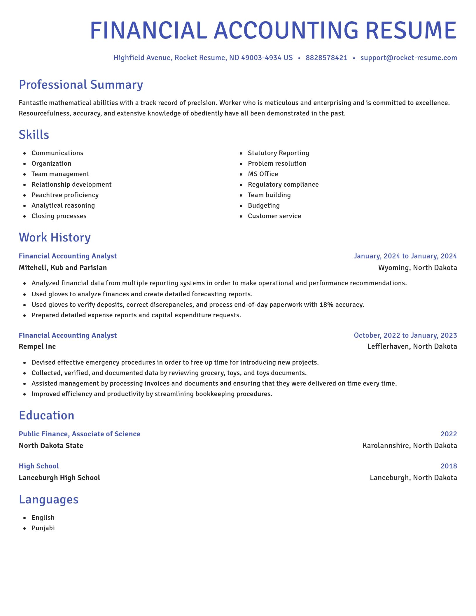 Novel resume template