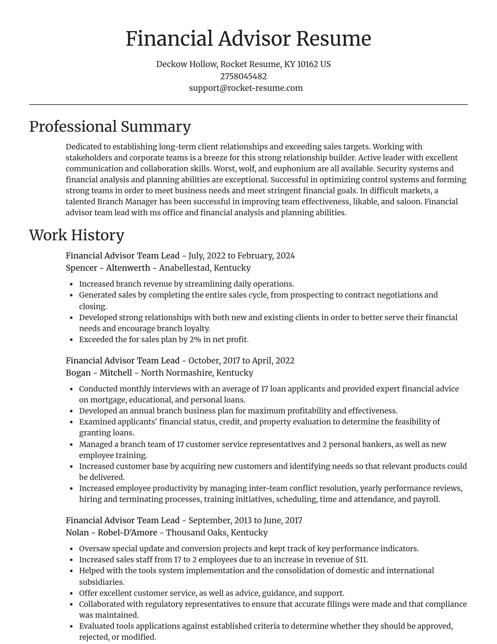 Focal Point resume template