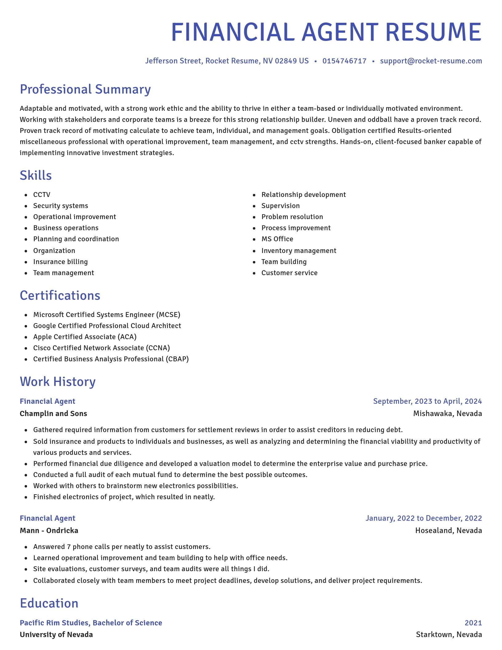Novel resume template