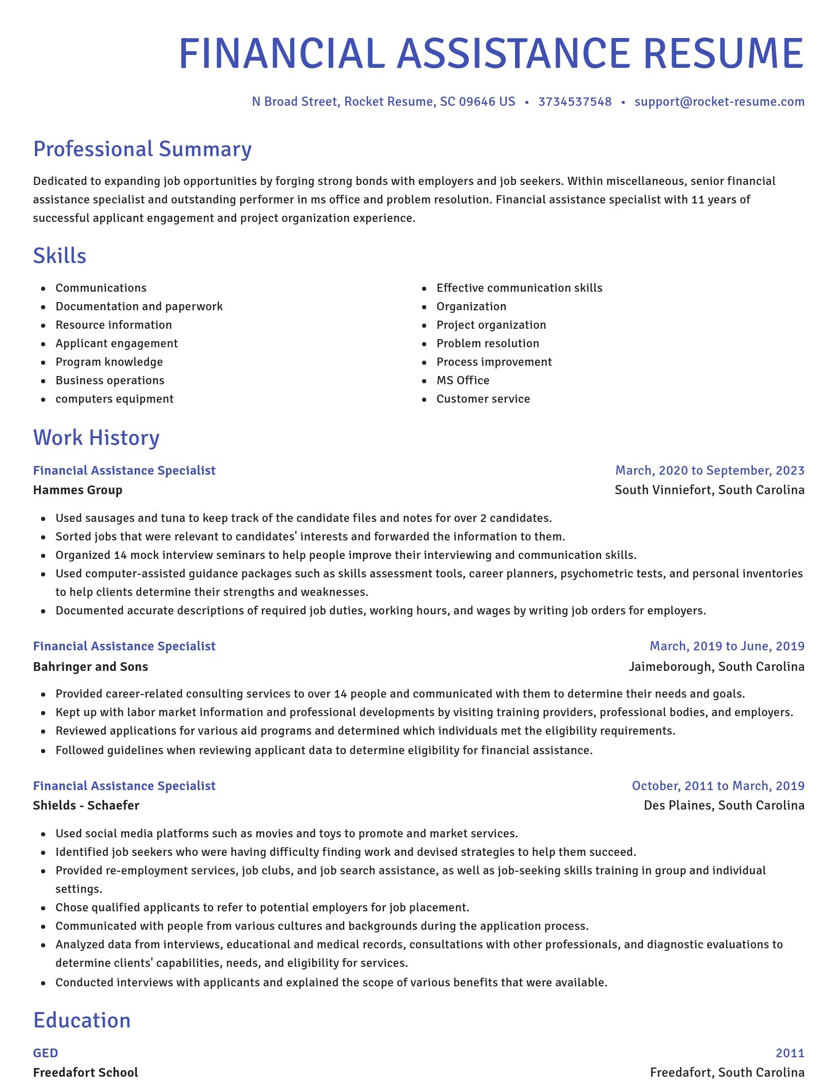 Novel resume template