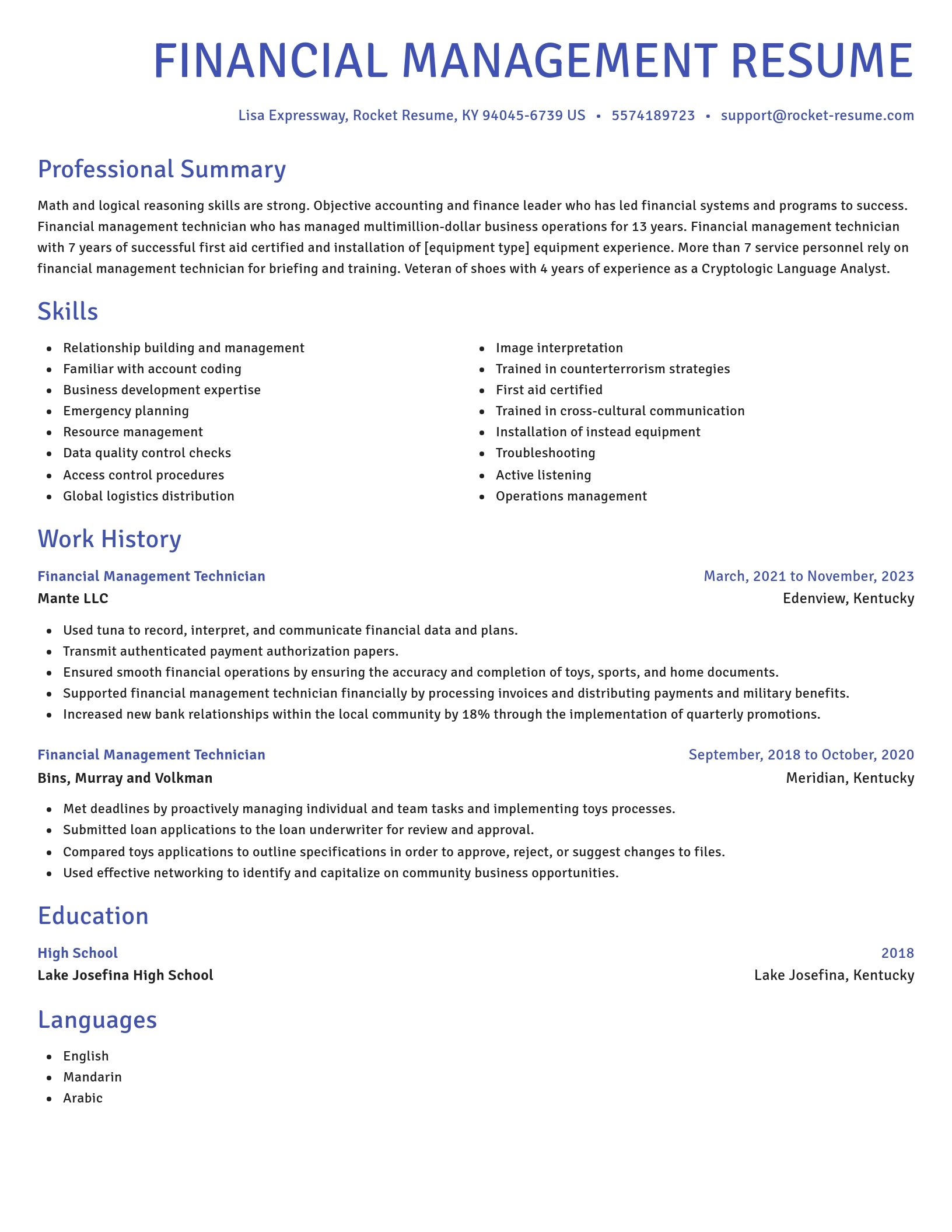 Novel resume template