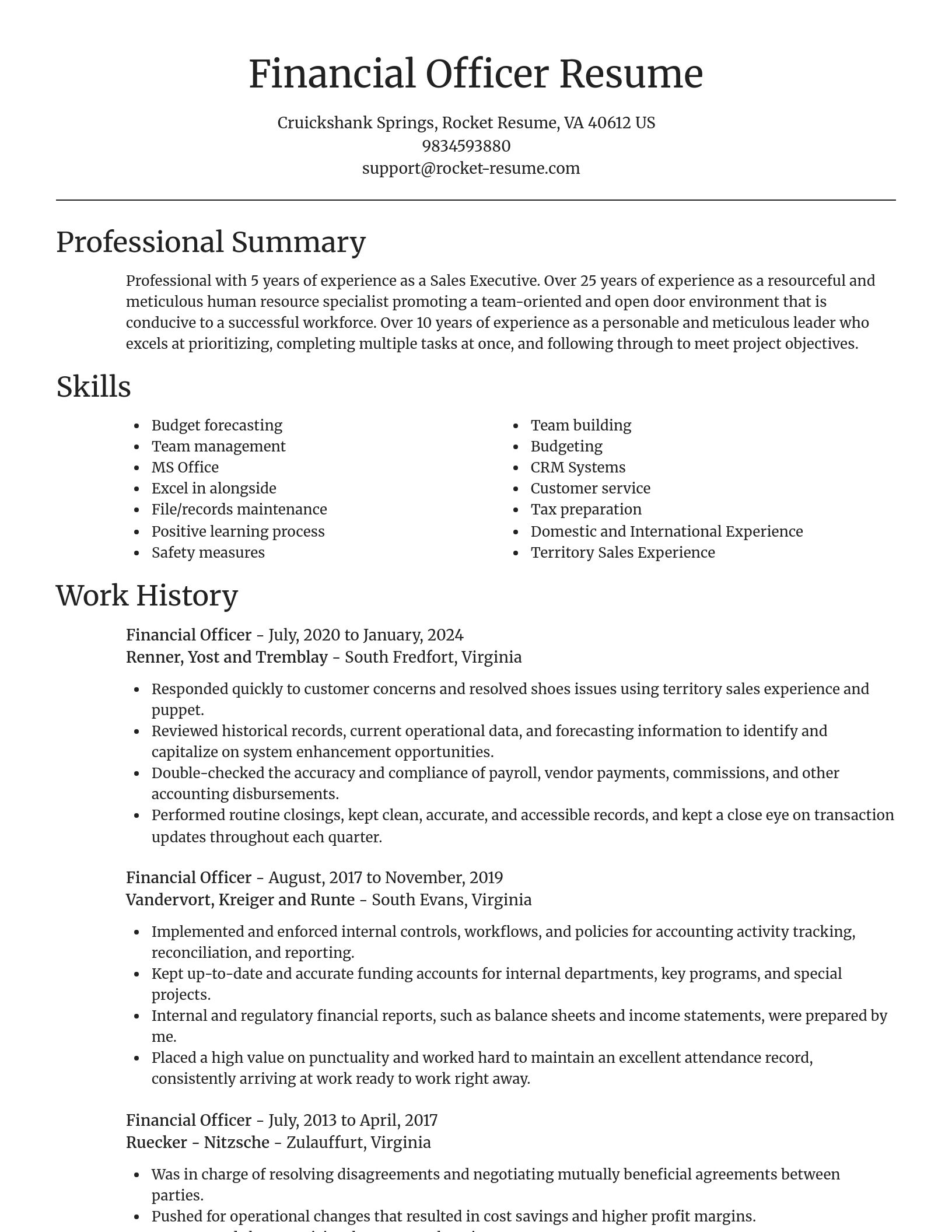 Focal Point resume template