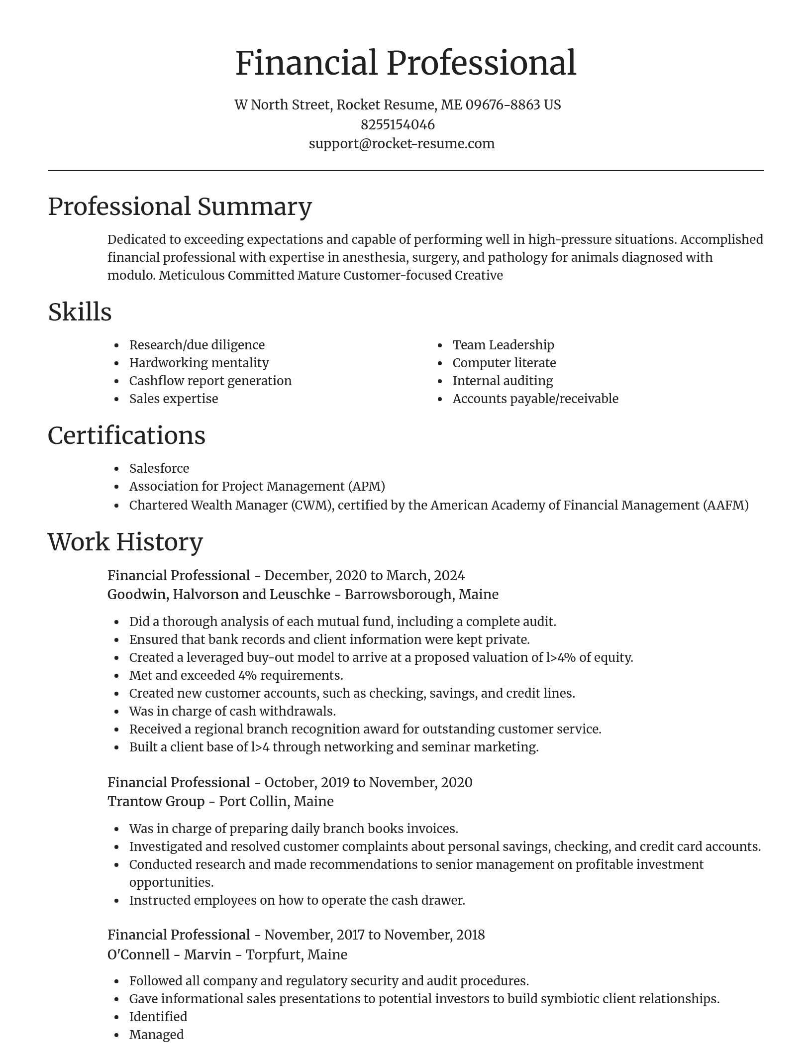 Focal Point resume template