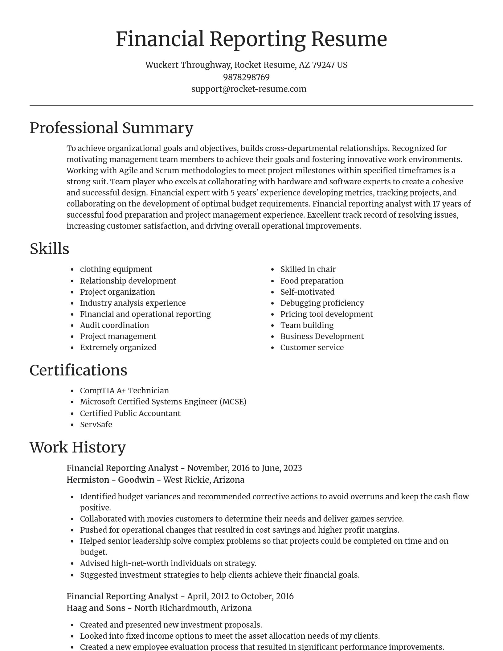Focal Point resume template