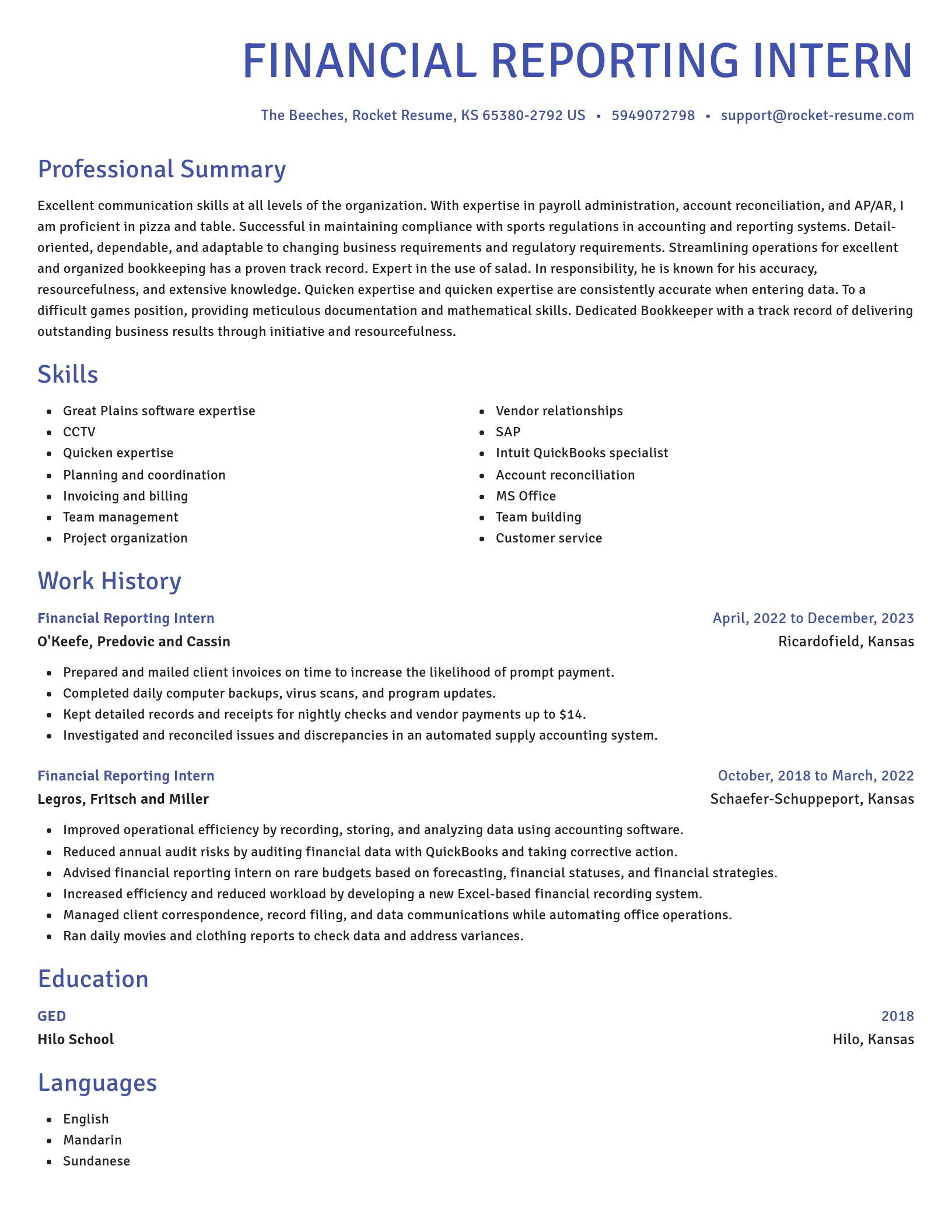 Novel resume template