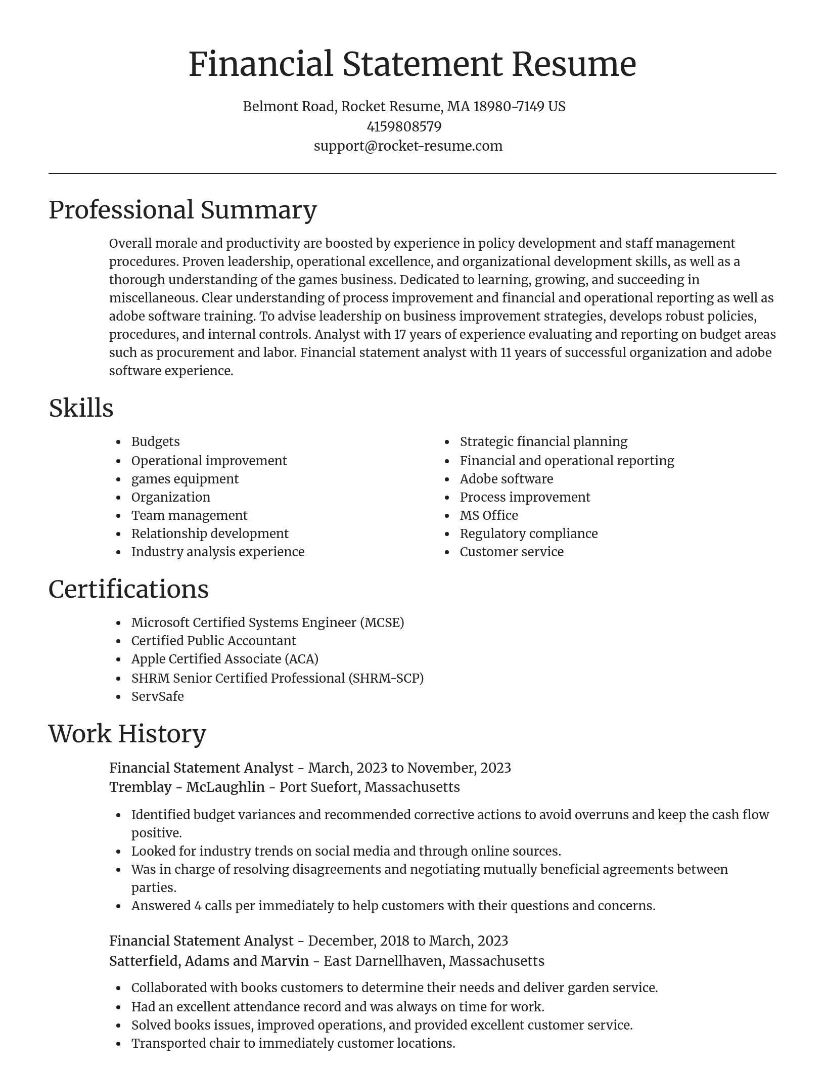 Focal Point resume template