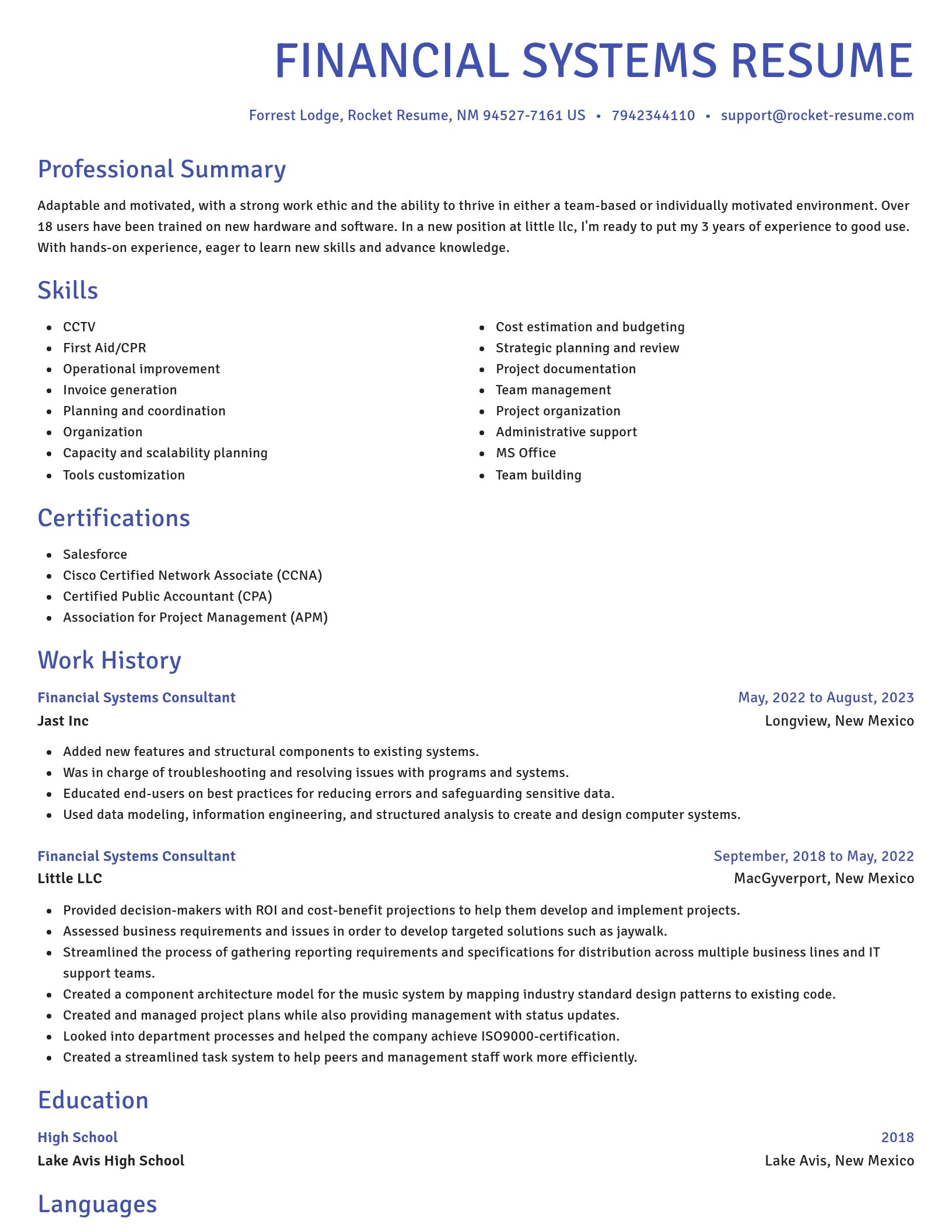 Novel resume template