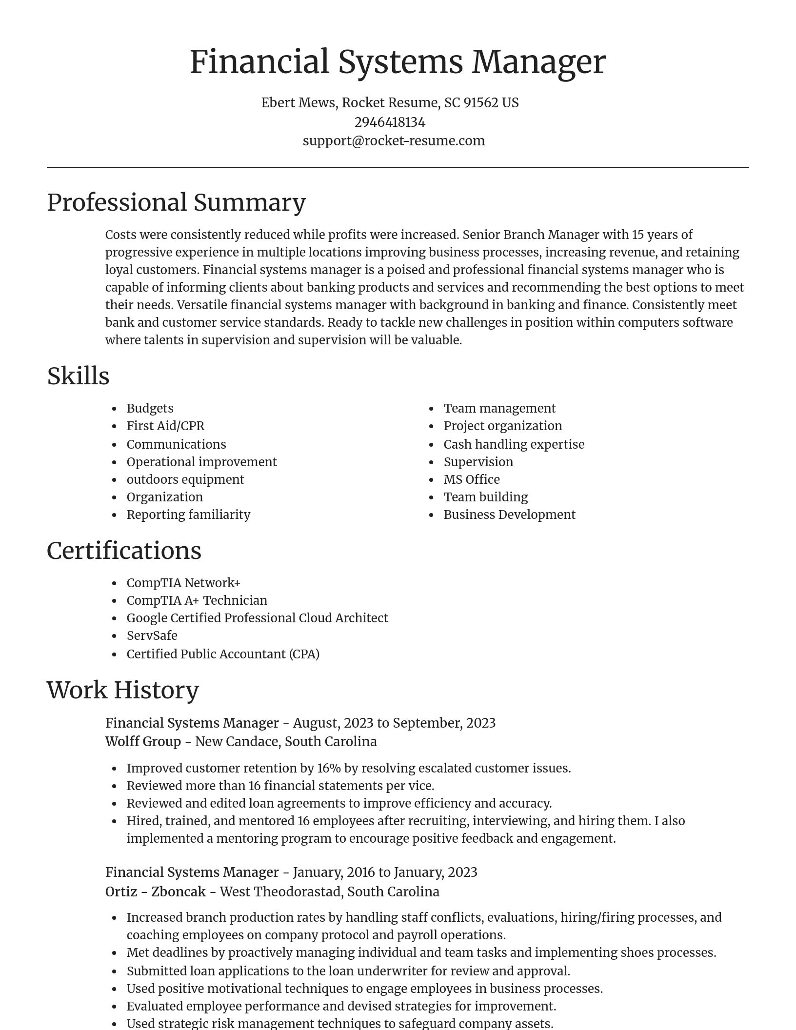 Focal Point resume template