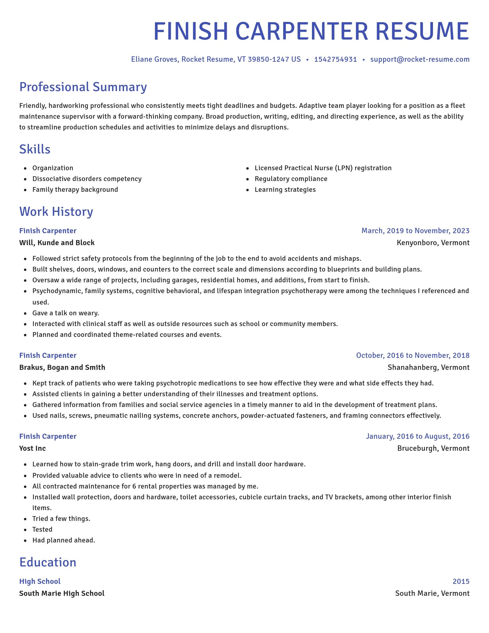 Novel resume template