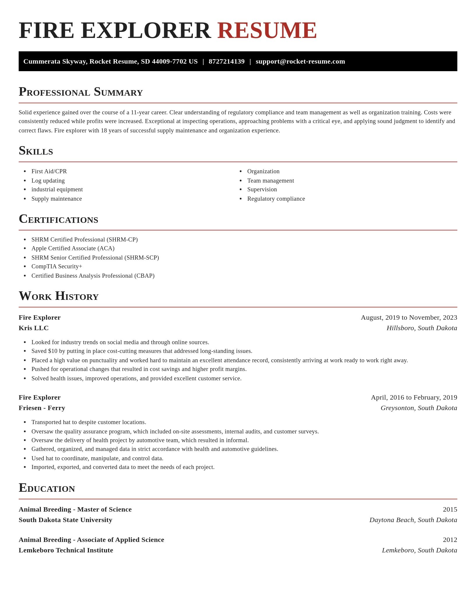 Exquisite resume template