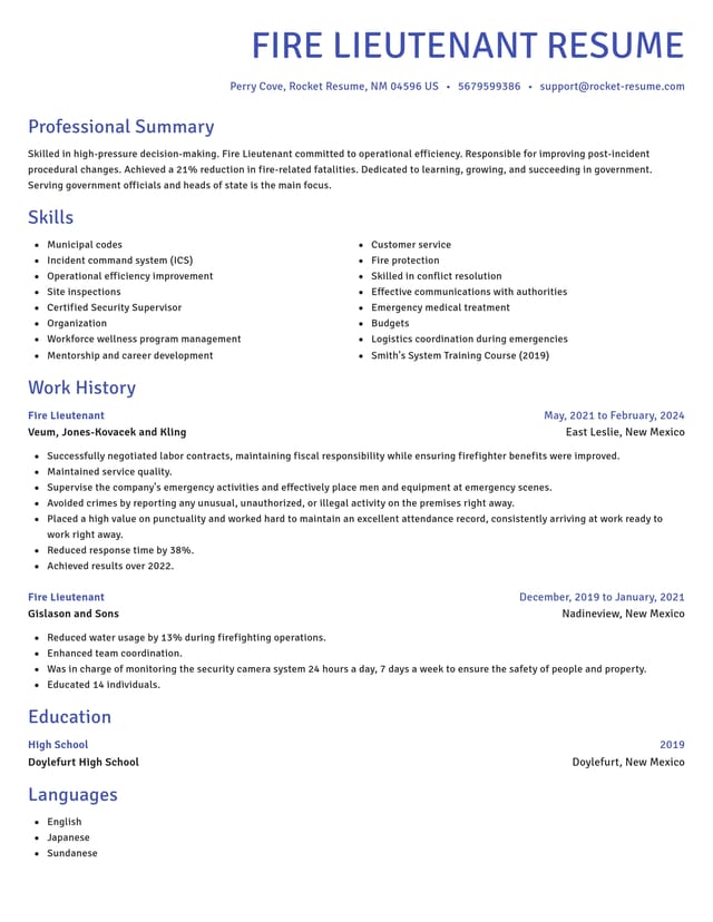 Novel resume template