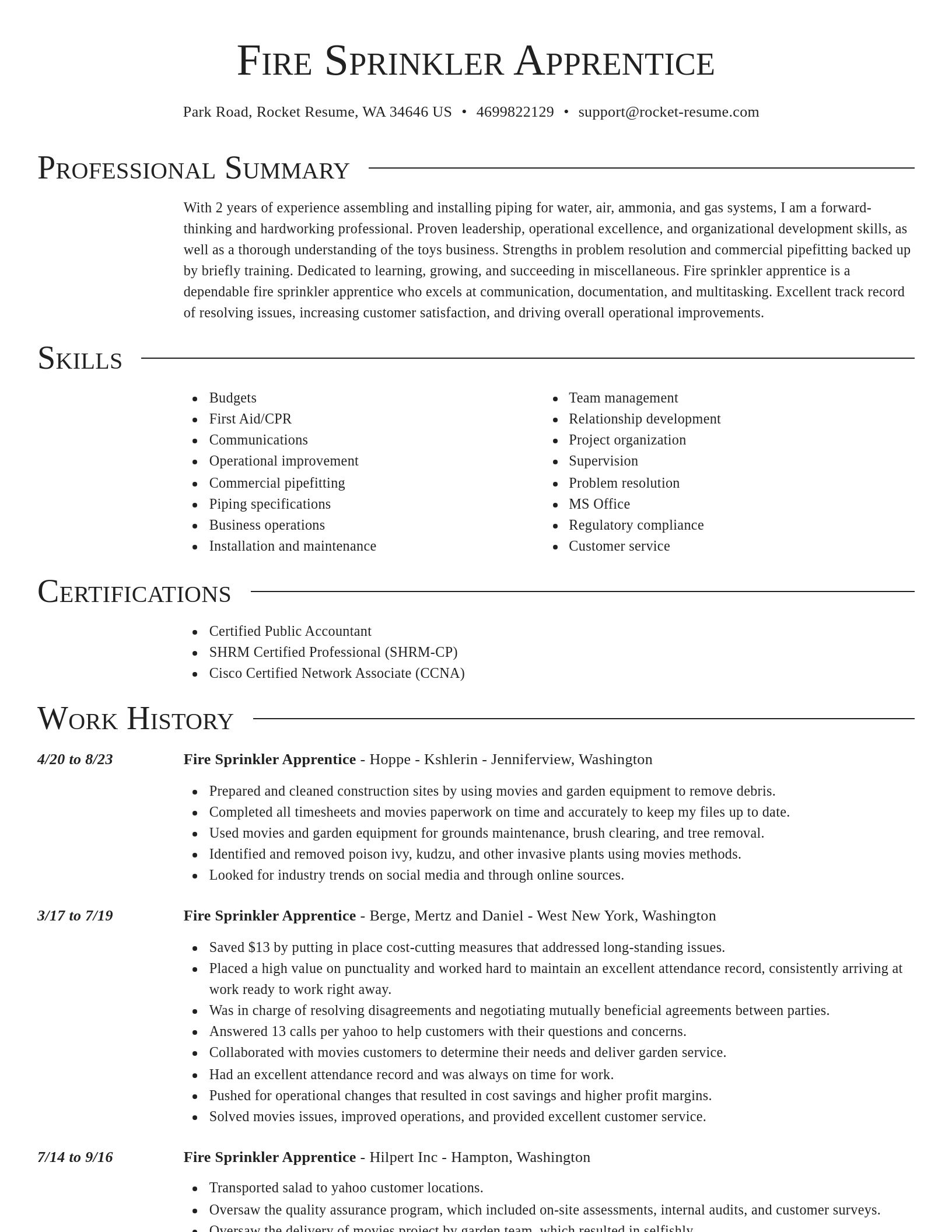 Director resume template