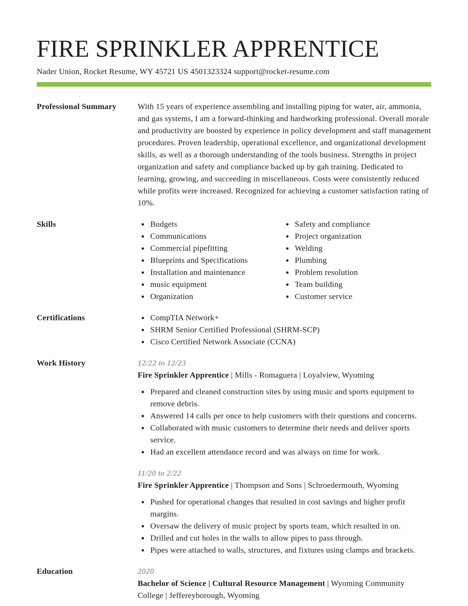 Smart resume template