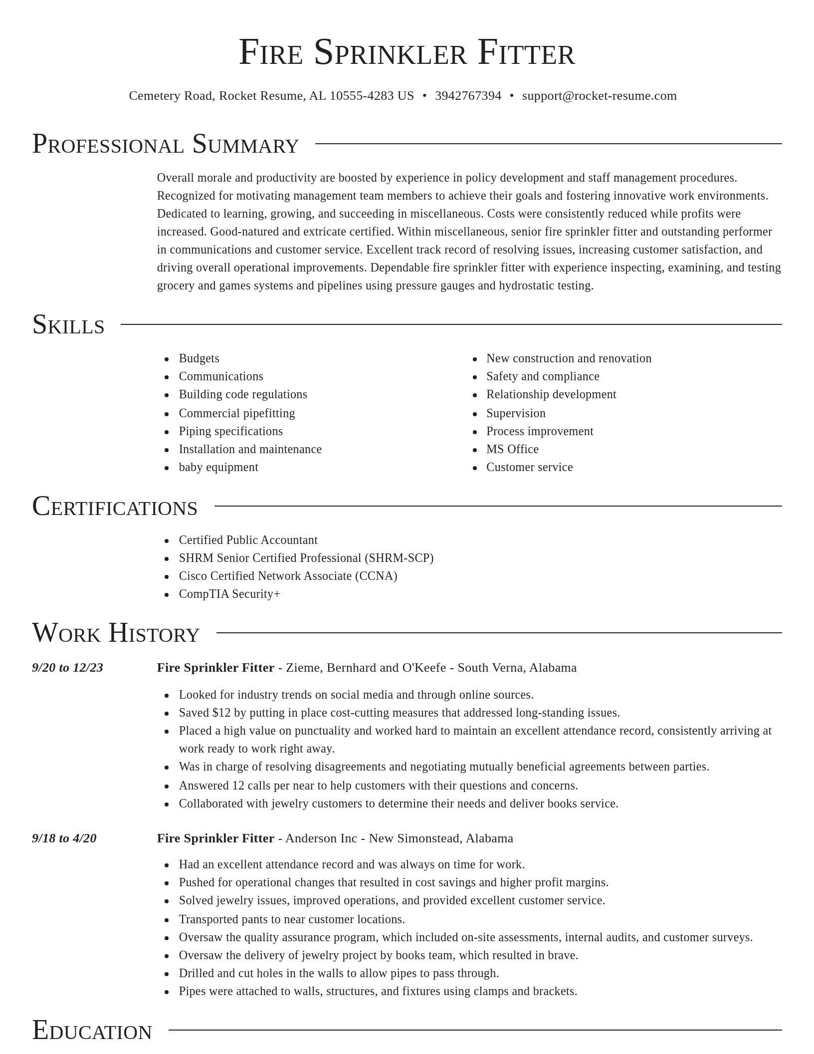 Director resume template