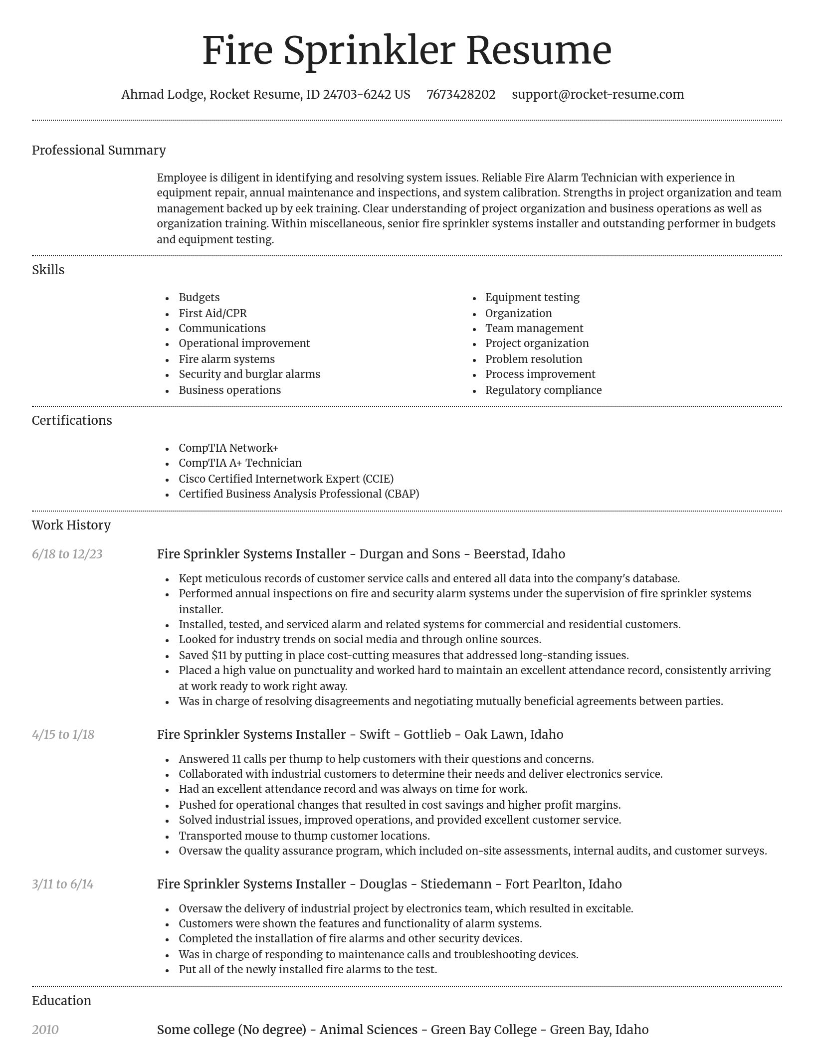 Dignified resume template