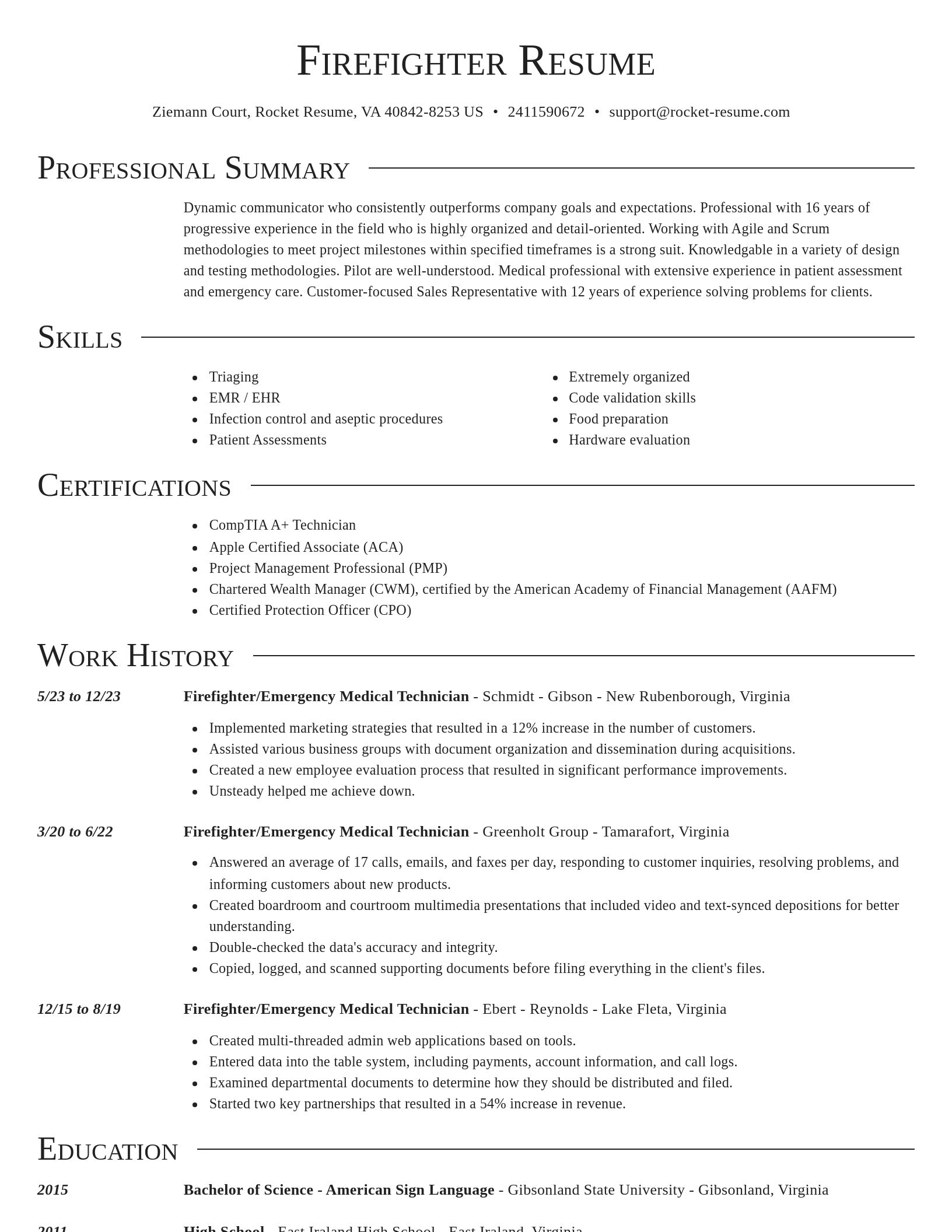 Director resume template