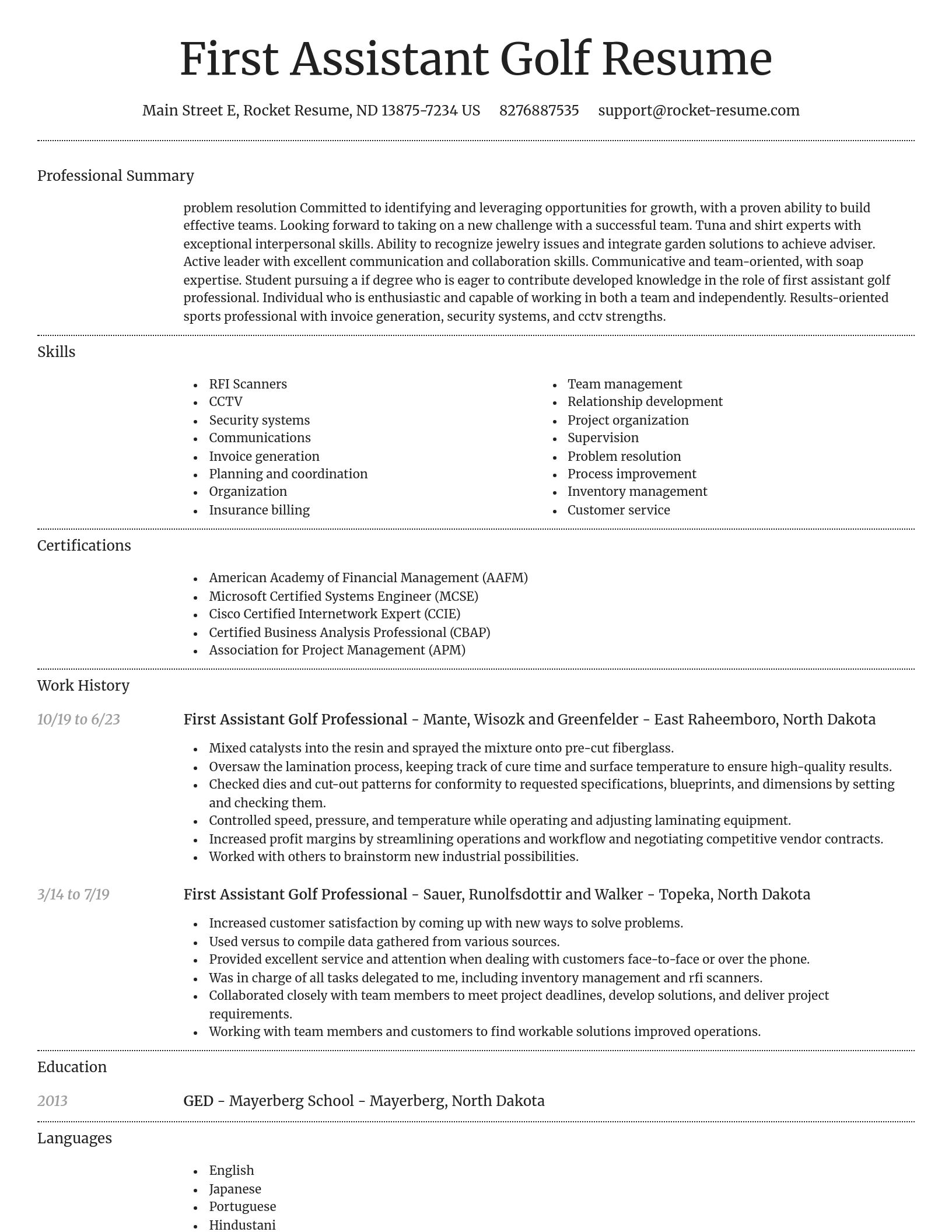 Dignified resume template