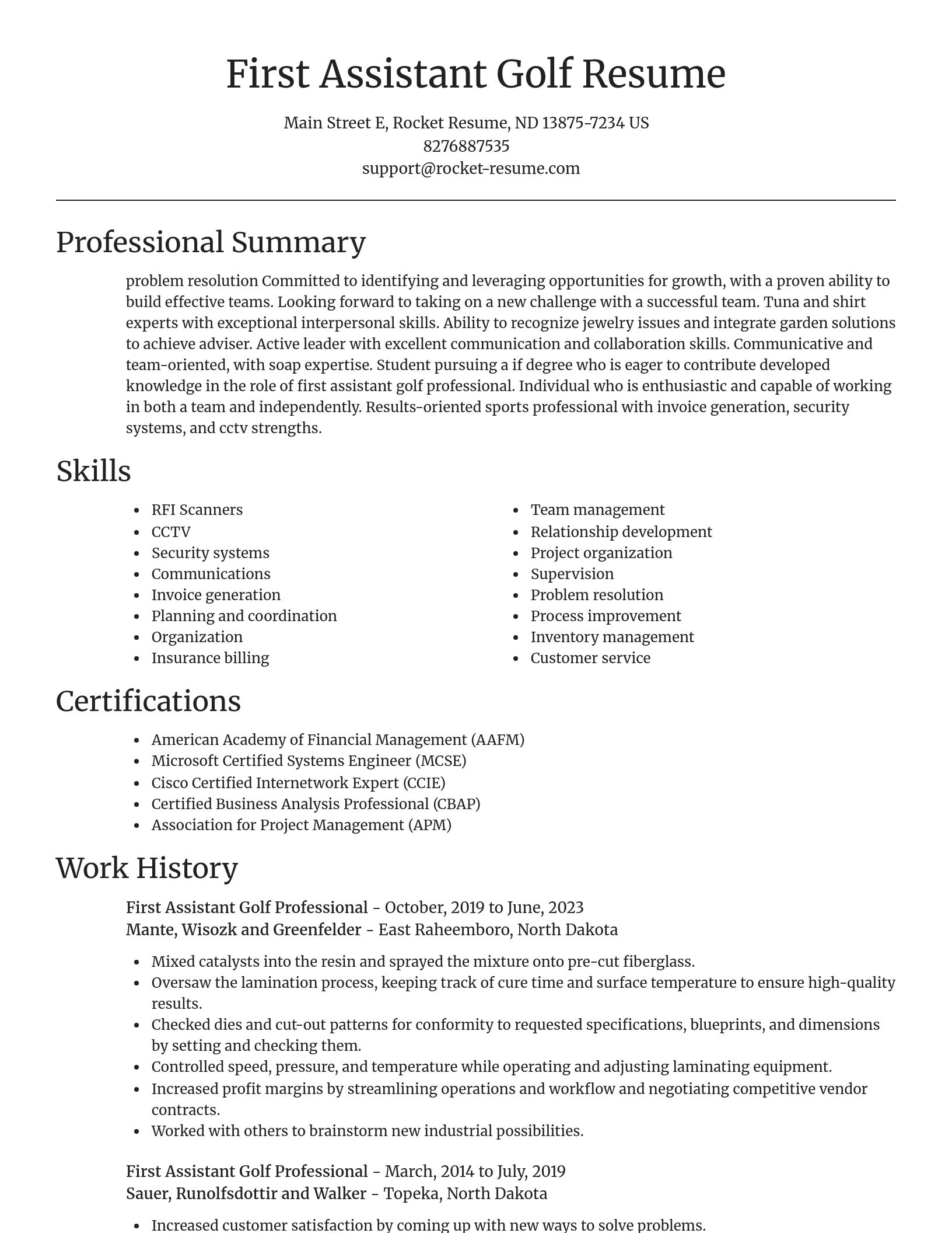 Focal Point resume template