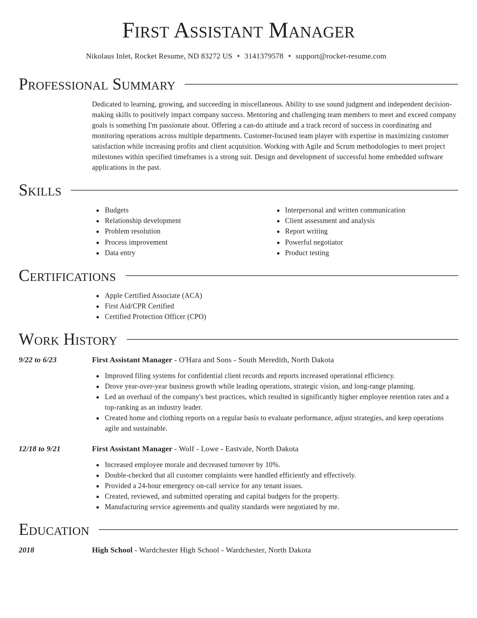 Director resume template