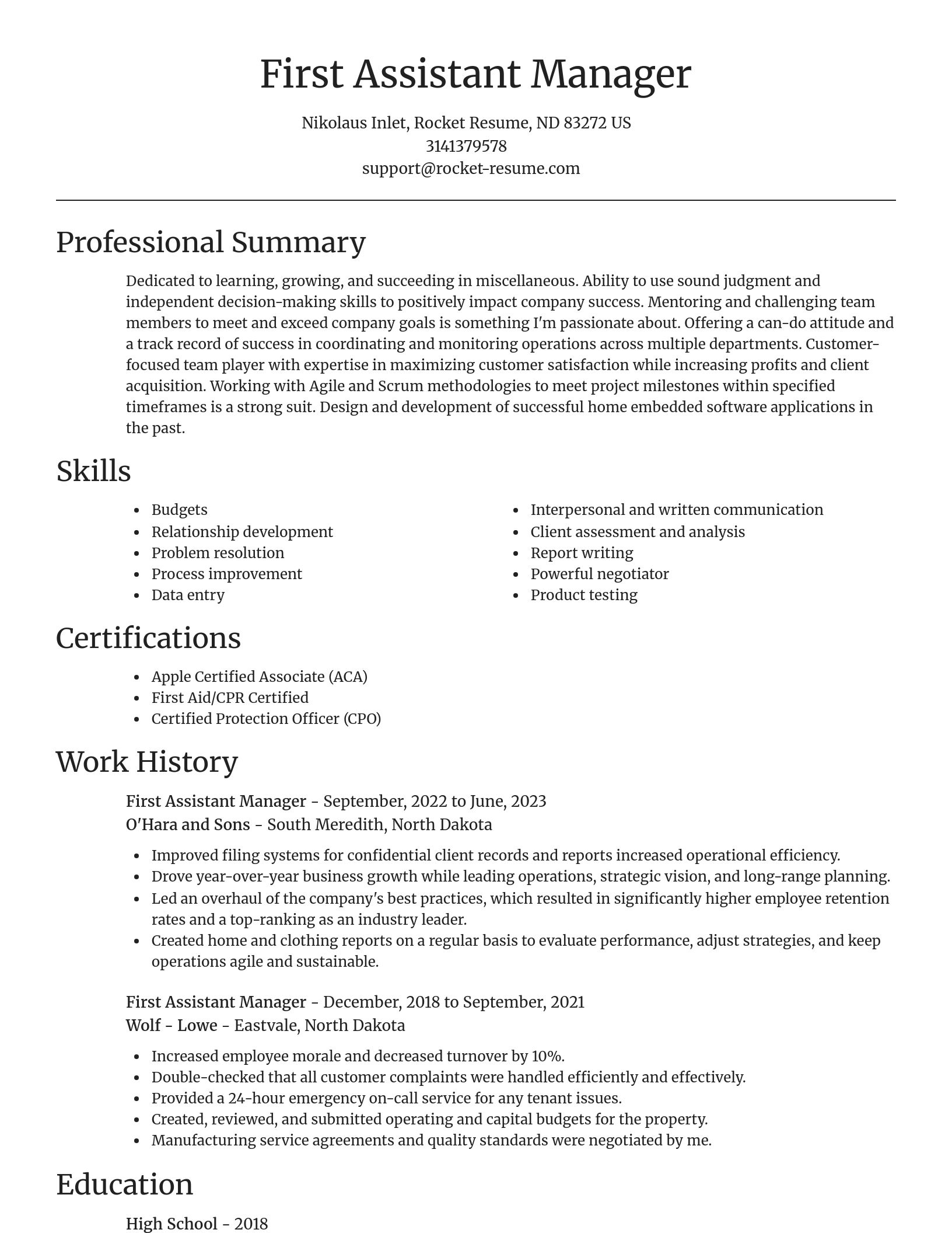 Focal Point resume template