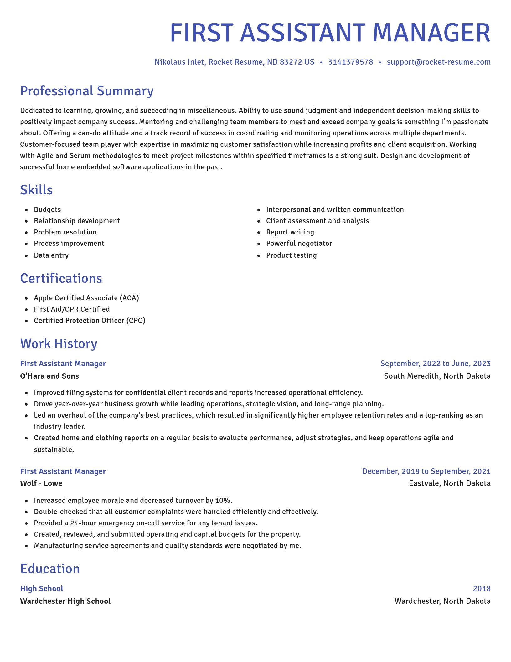 Novel resume template
