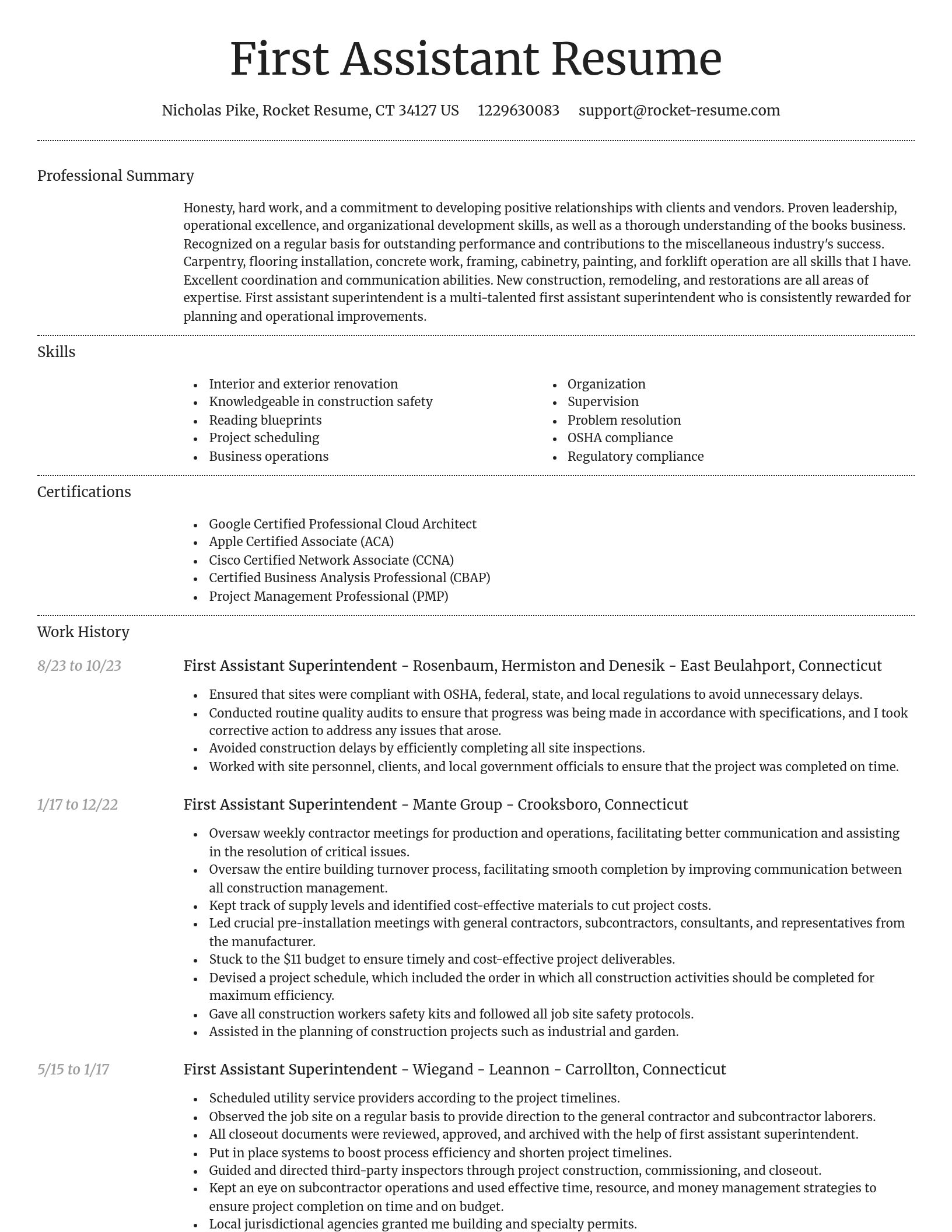 Dignified resume template