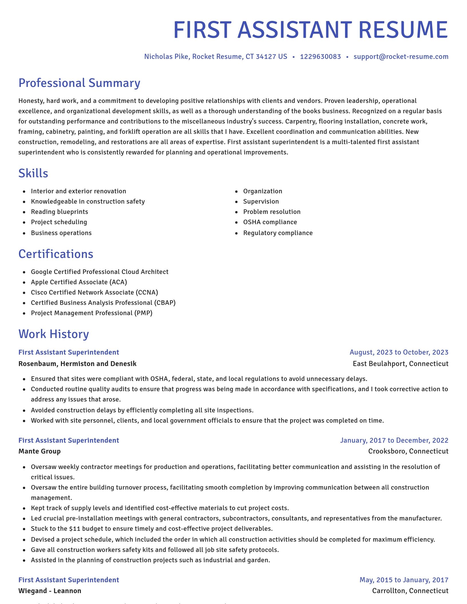 Novel resume template