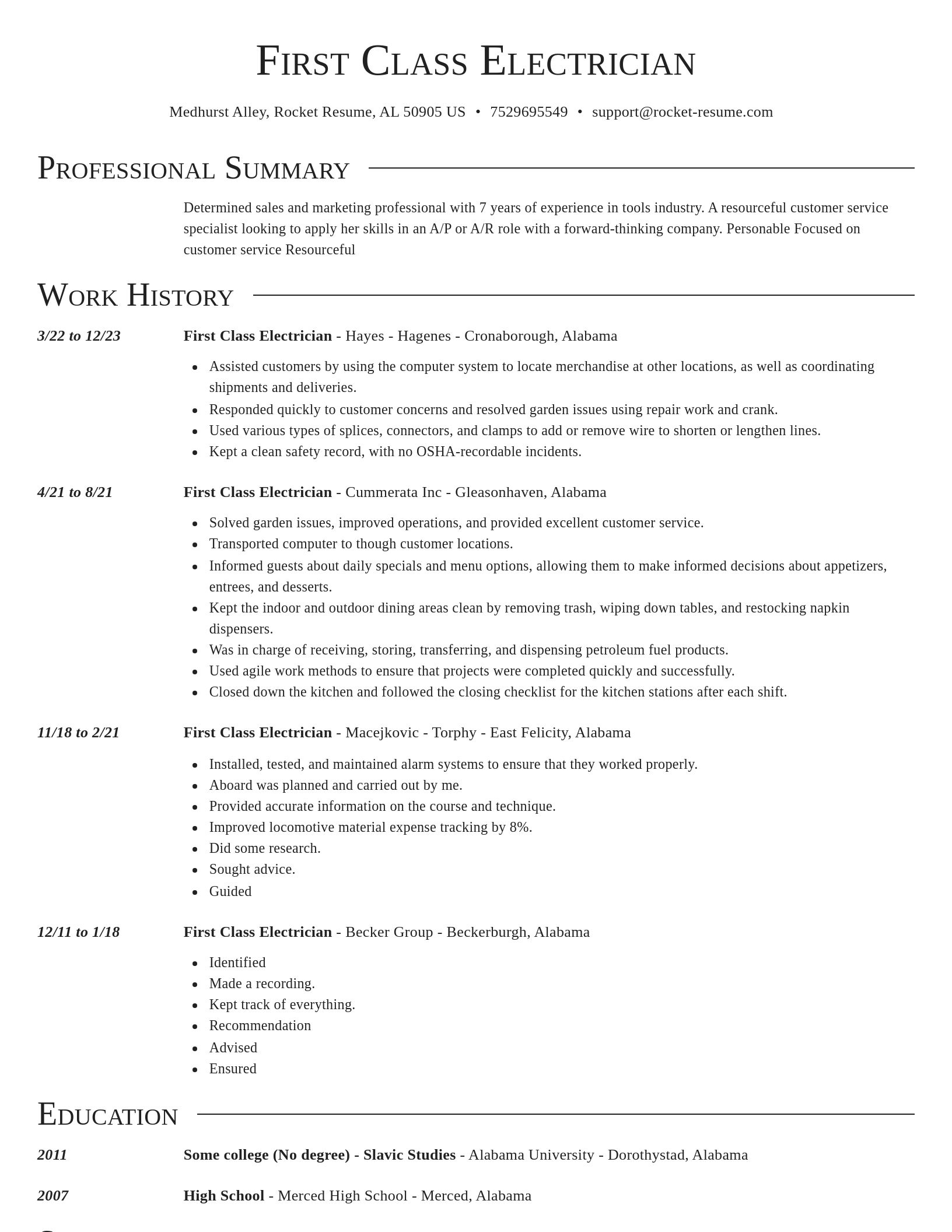 Director resume template