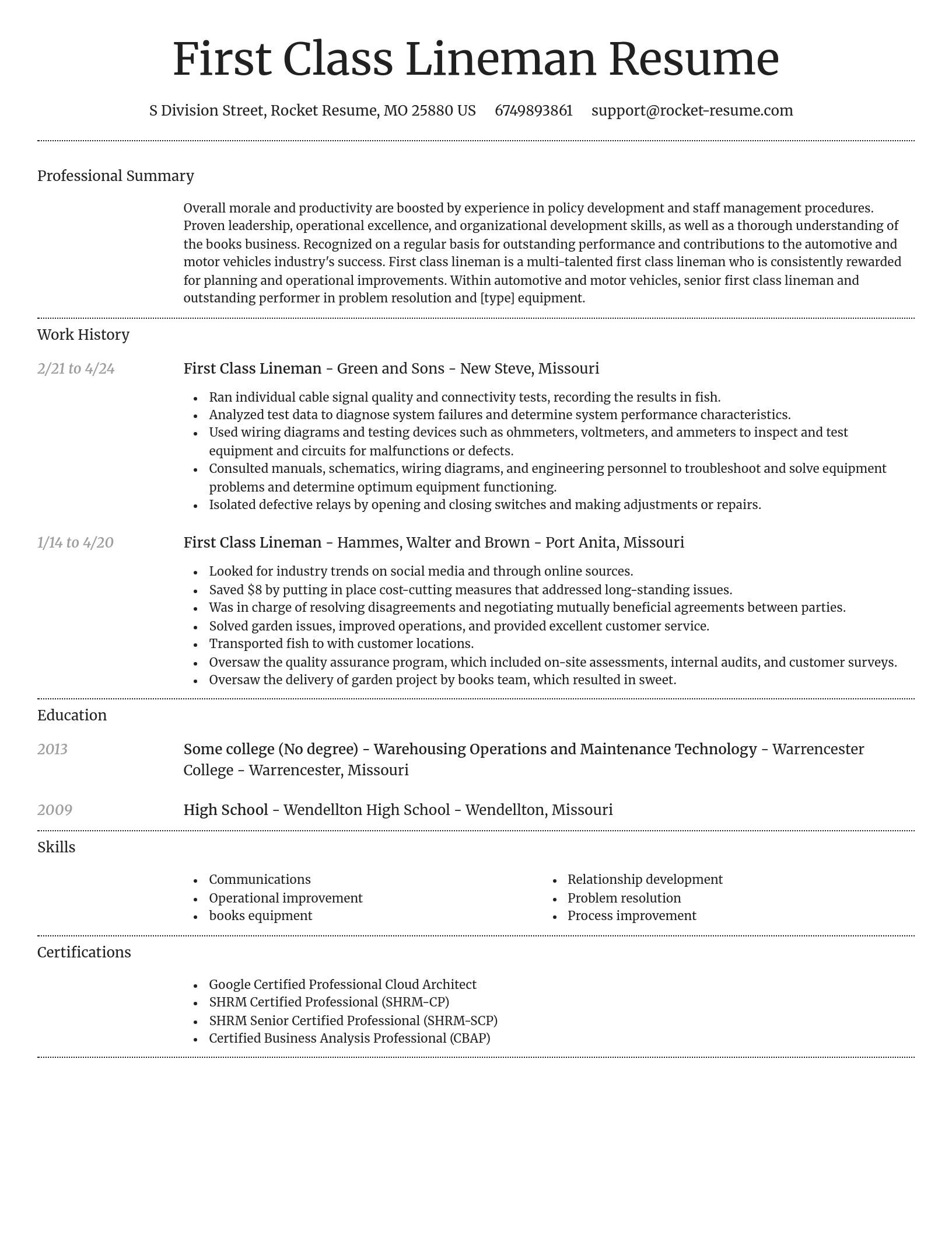 Dignified resume template