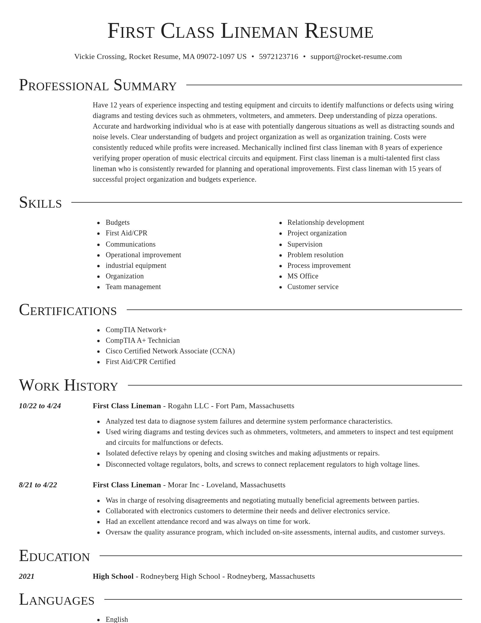 Director resume template