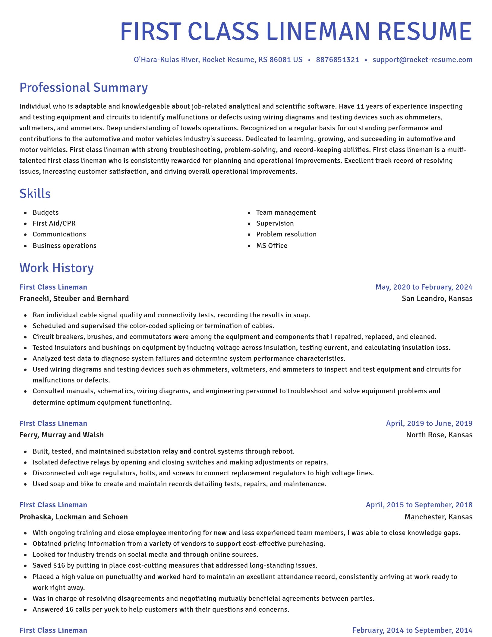 Novel resume template
