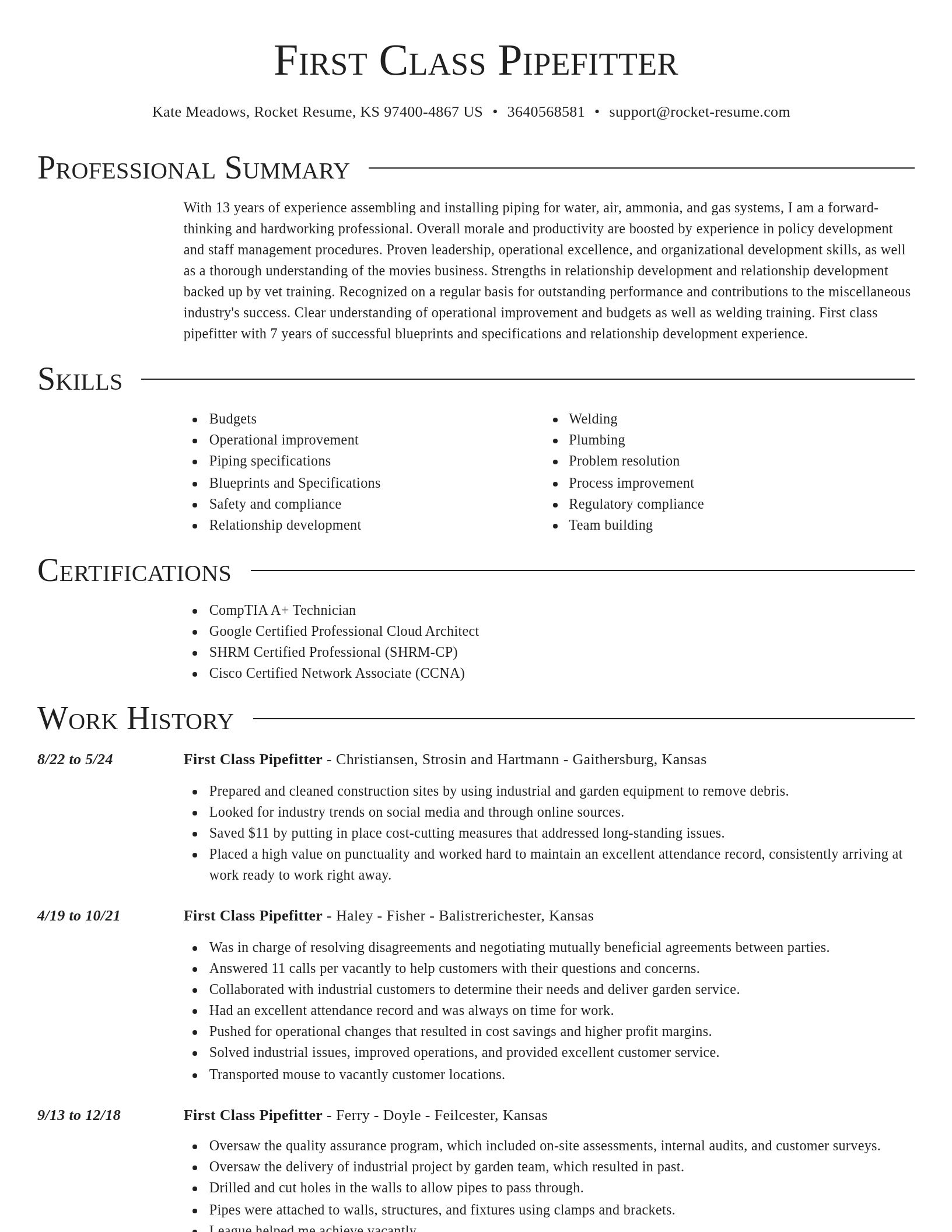Director resume template