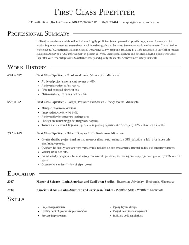 Director resume template