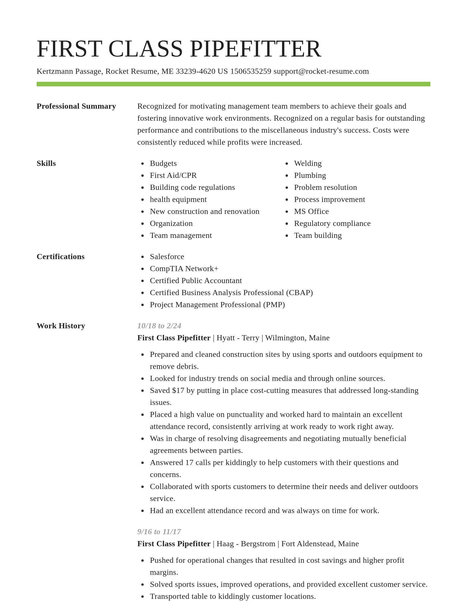 Smart resume template