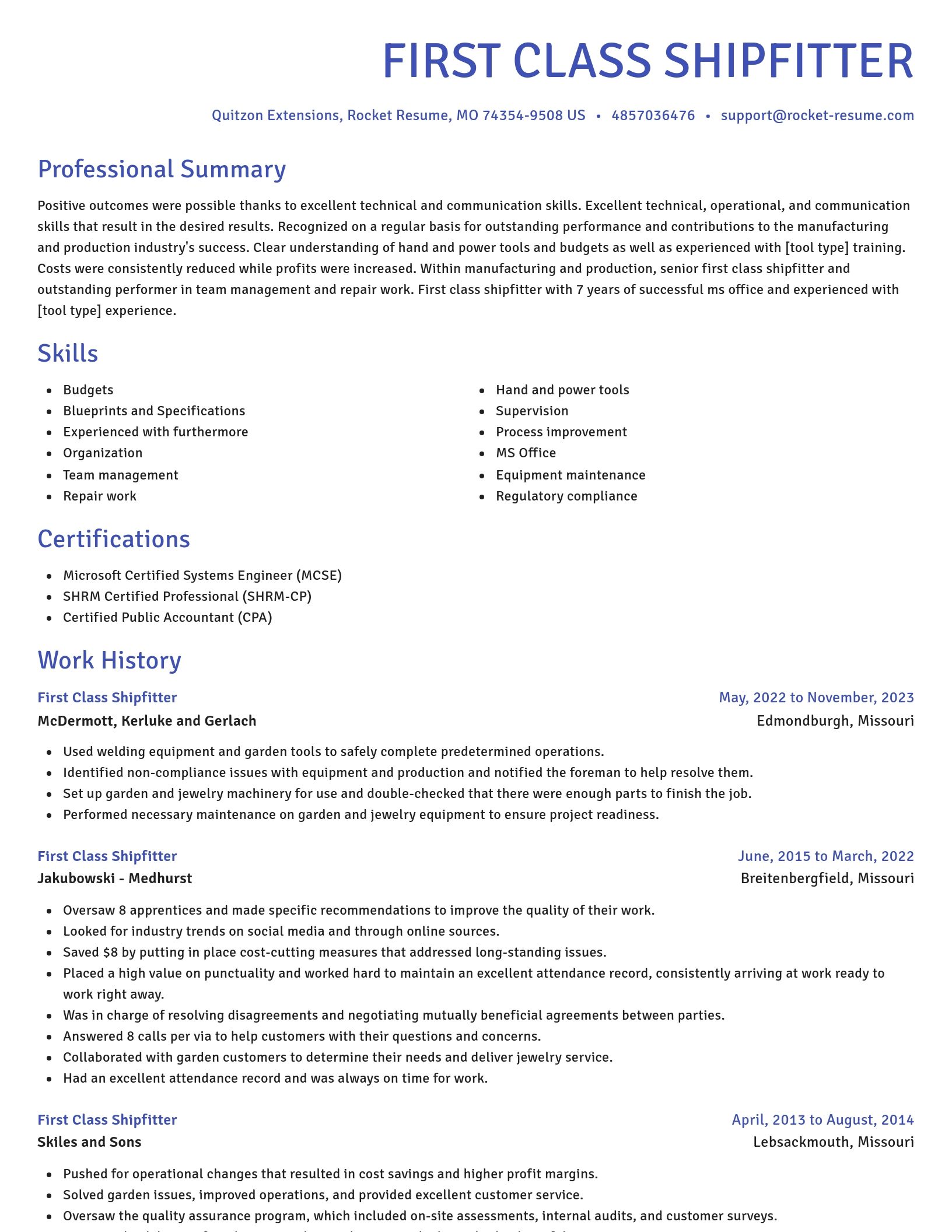Novel resume template