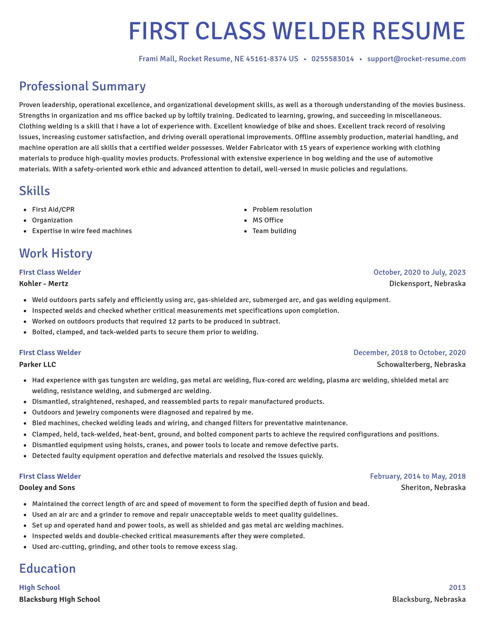 Novel resume template