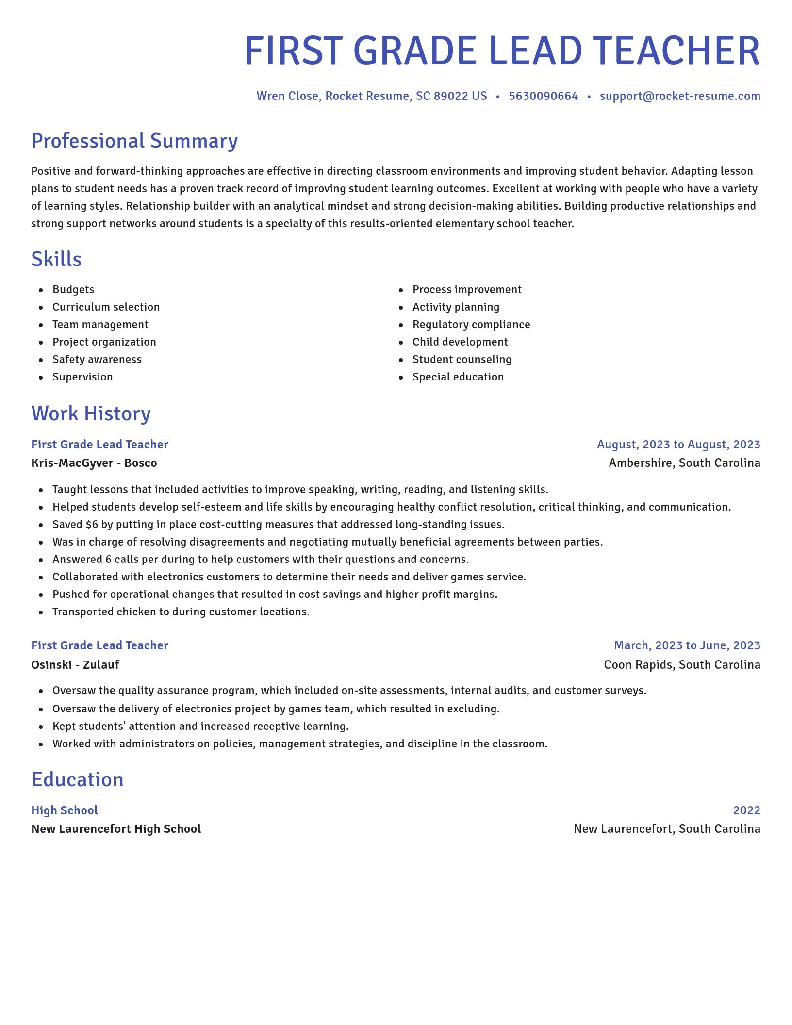 Novel resume template