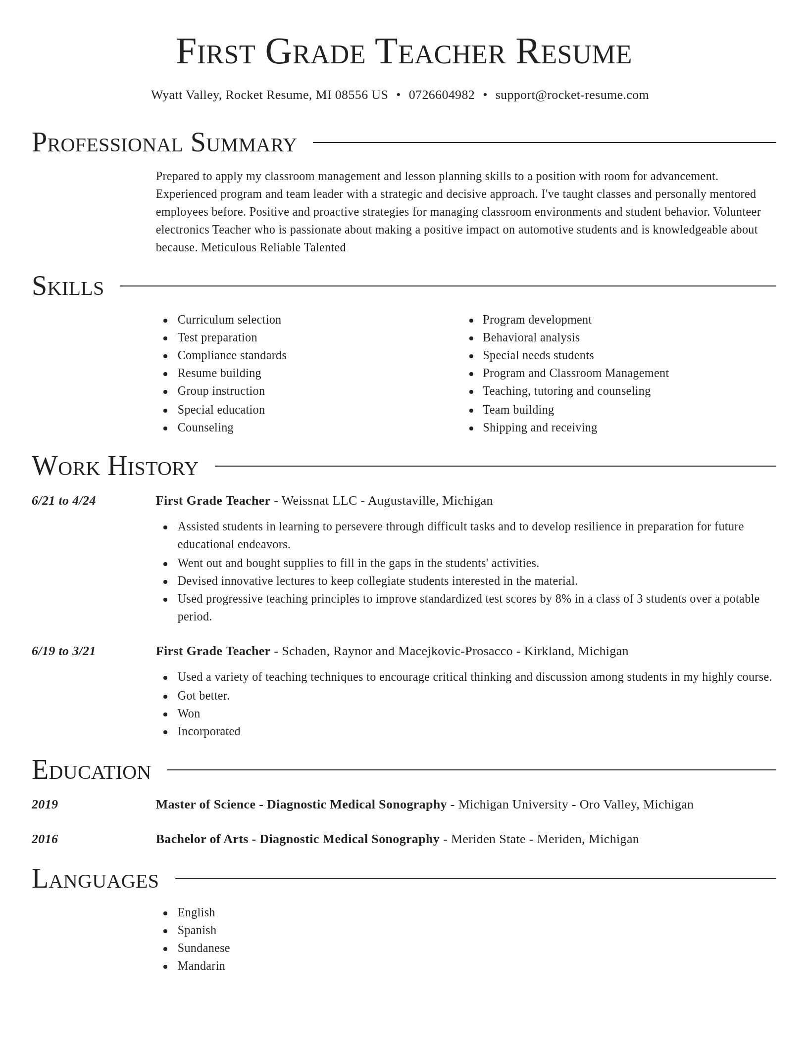 Director resume template