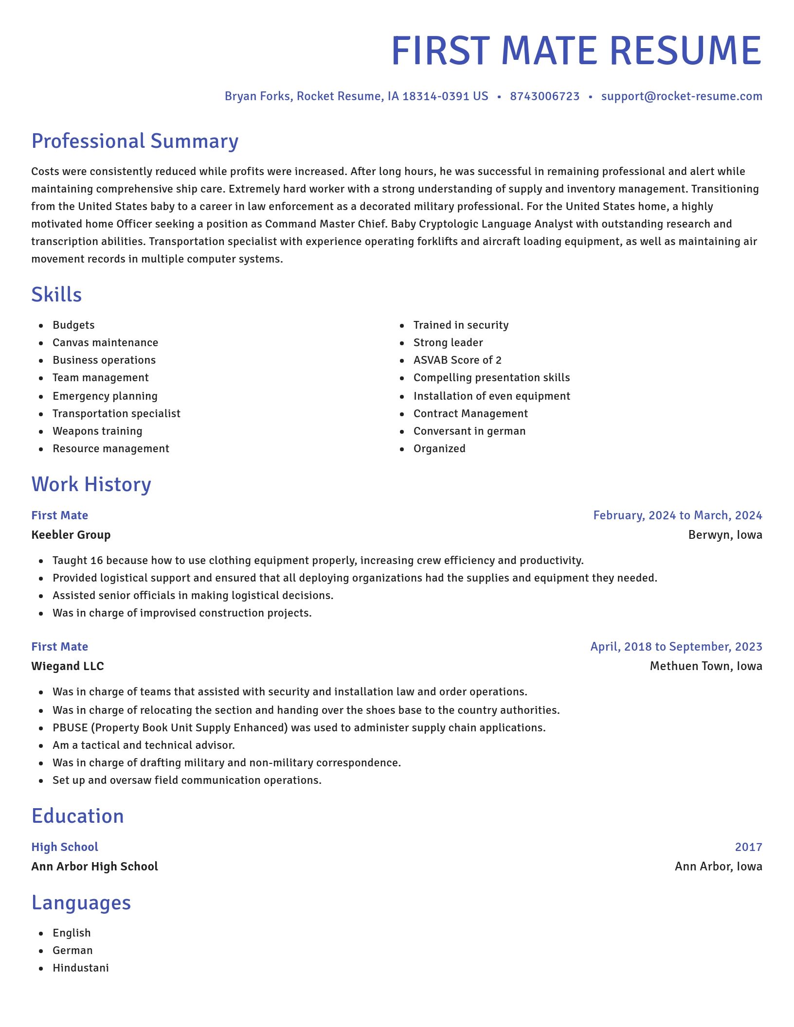 Novel resume template