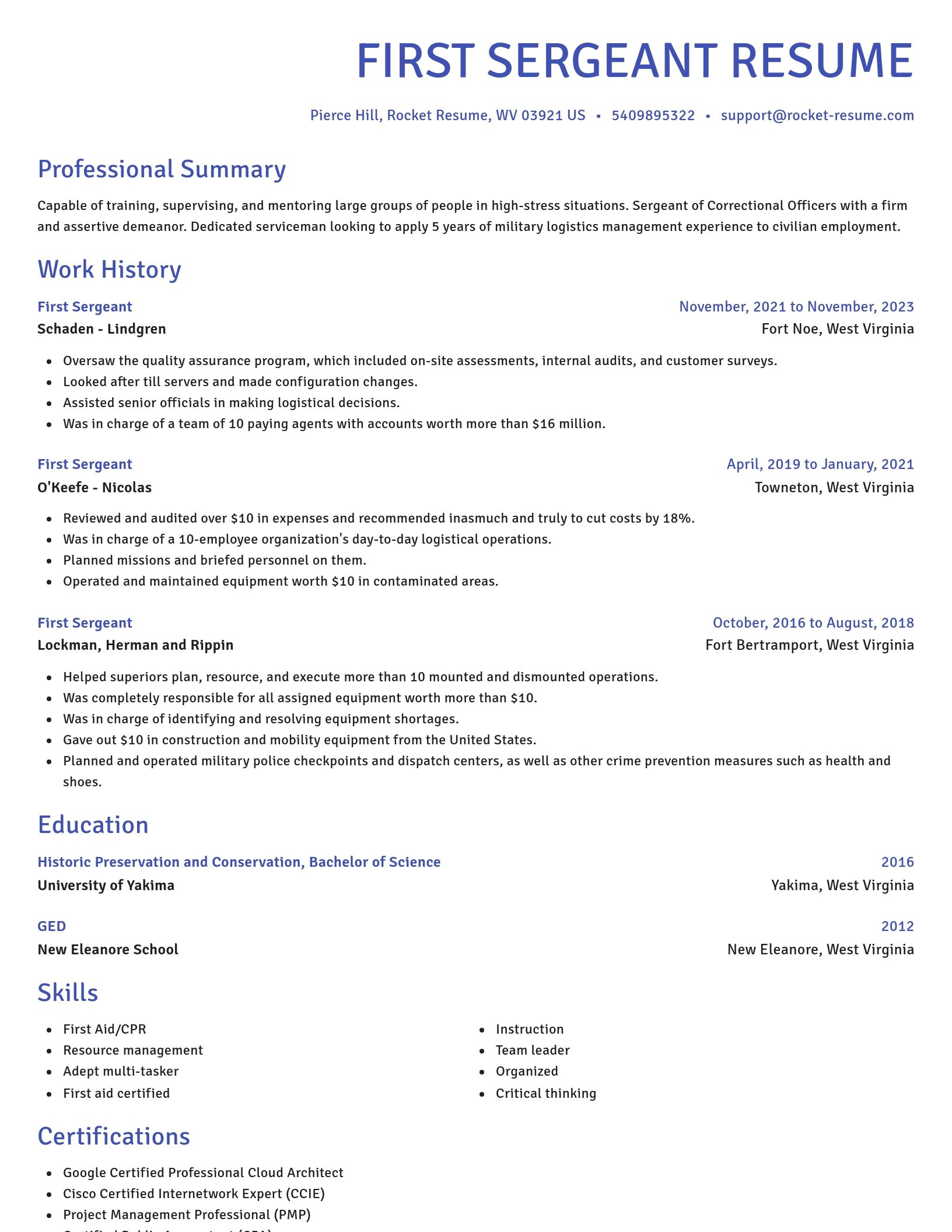 Novel resume template