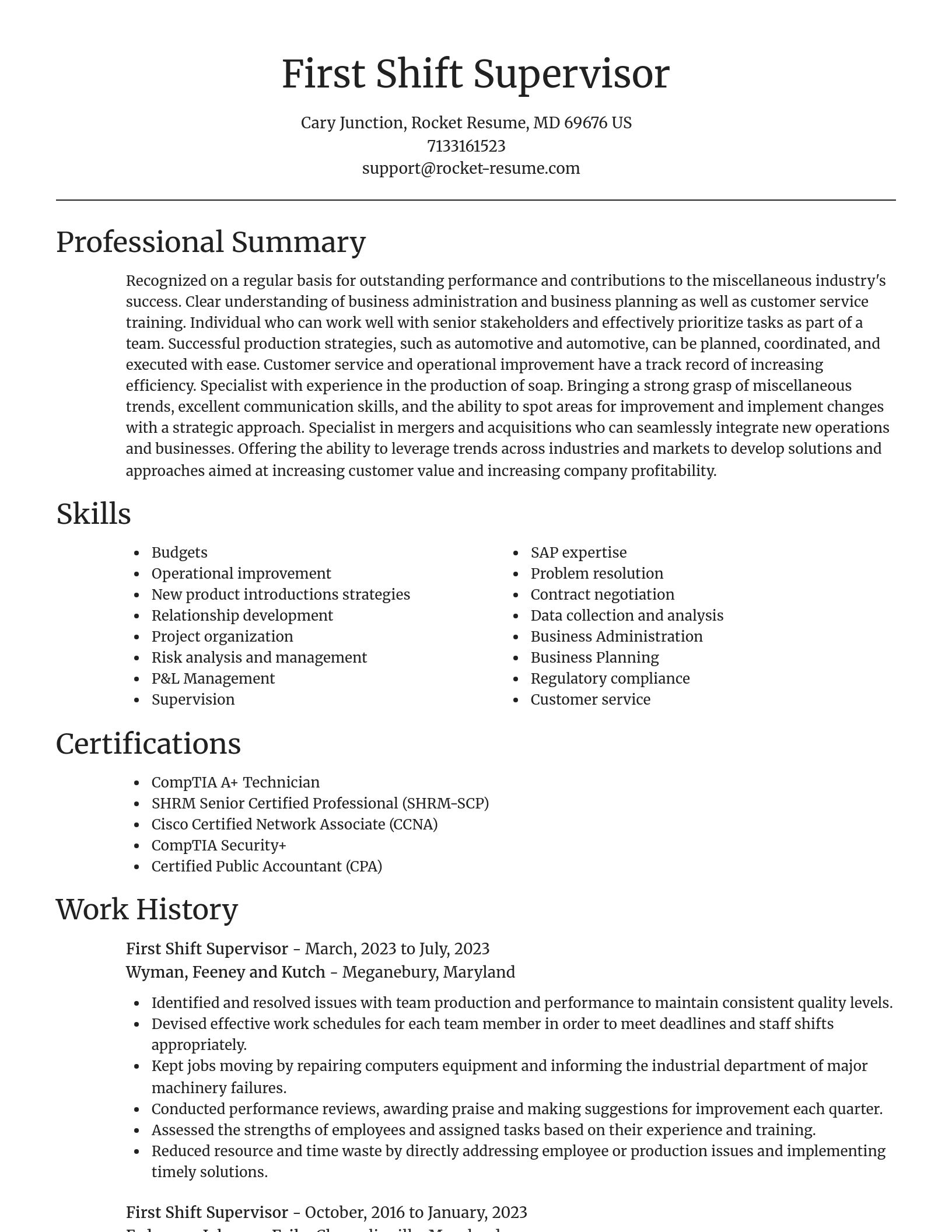 Focal Point resume template