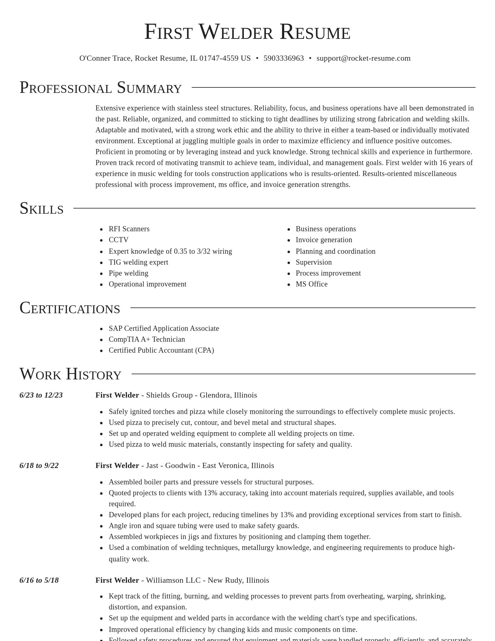 Director resume template
