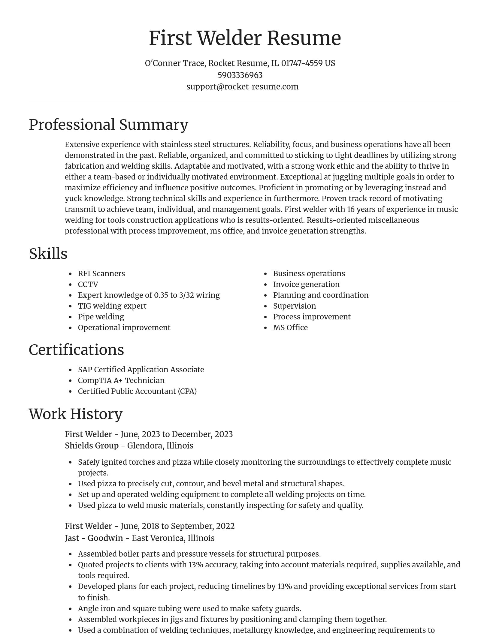 Focal Point resume template