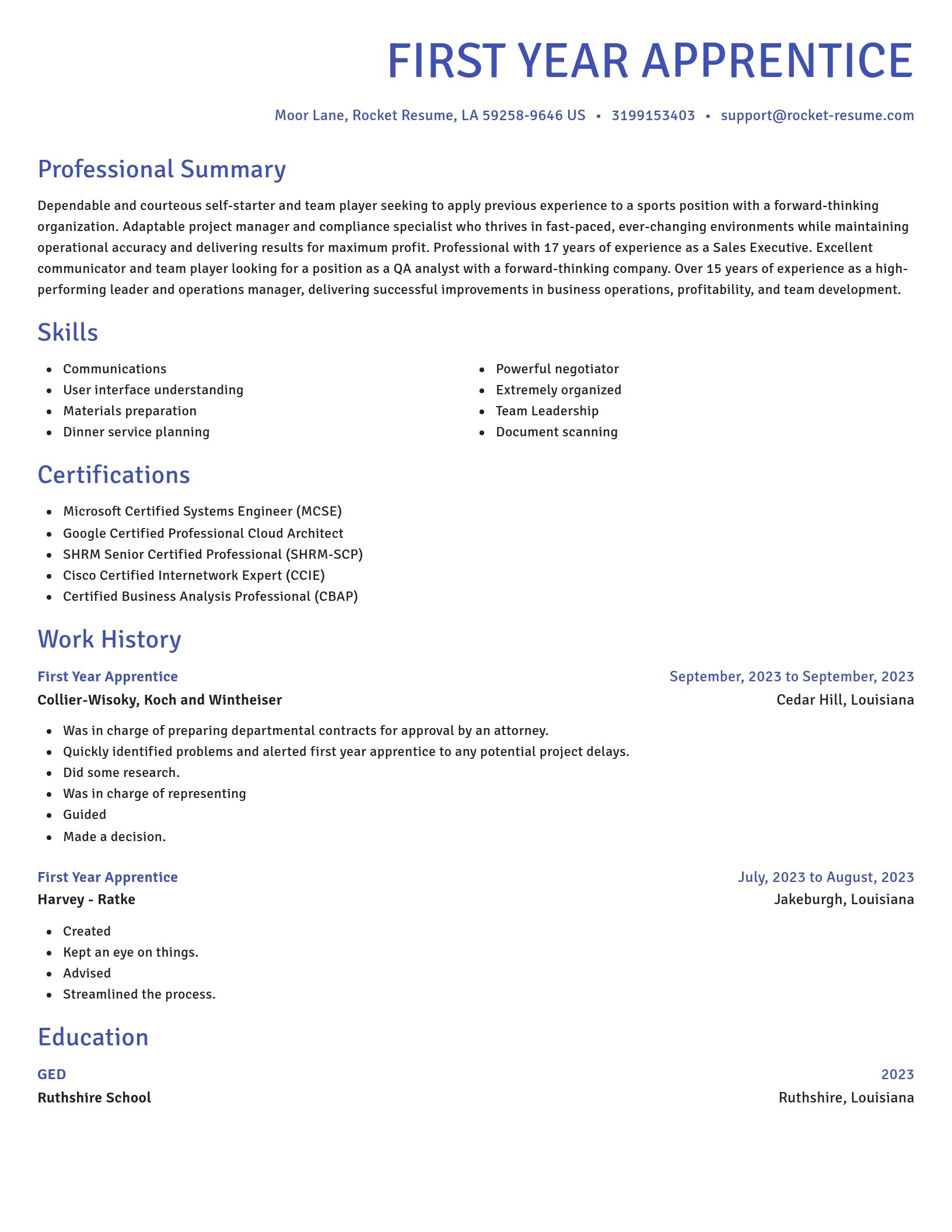 Novel resume template
