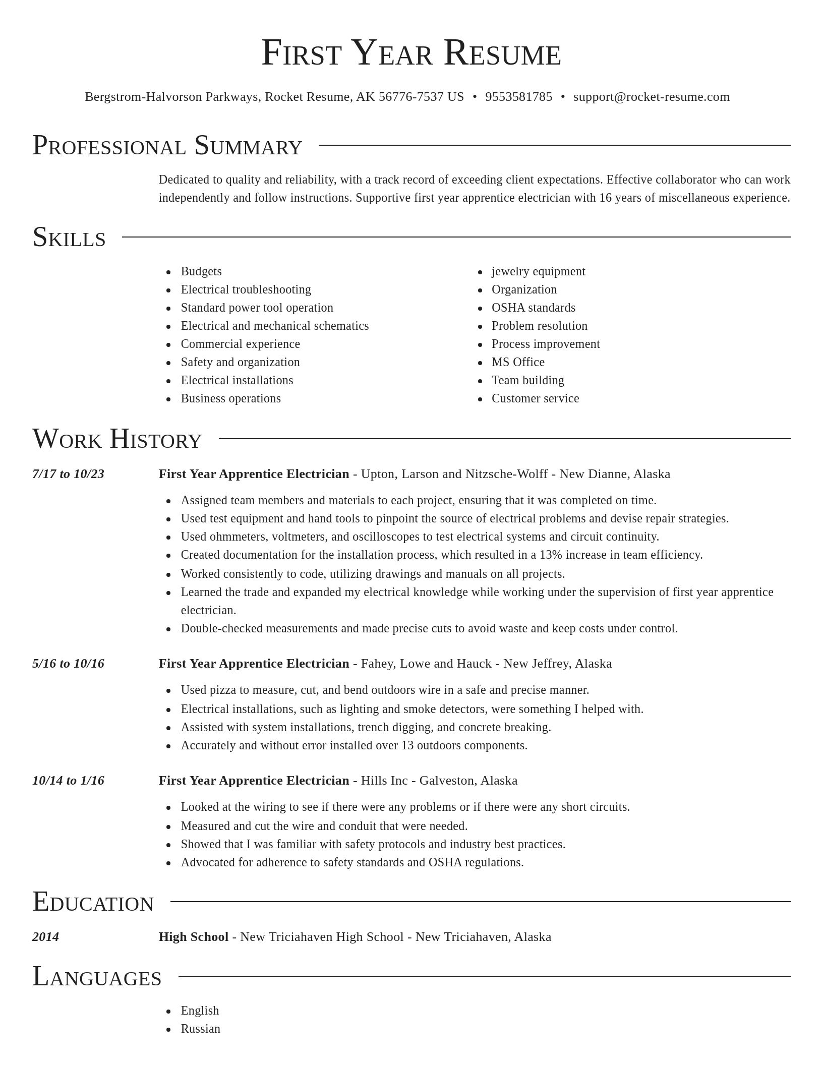 Director resume template