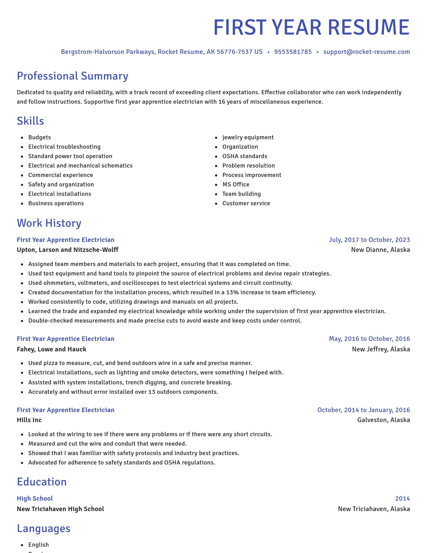 Novel resume template