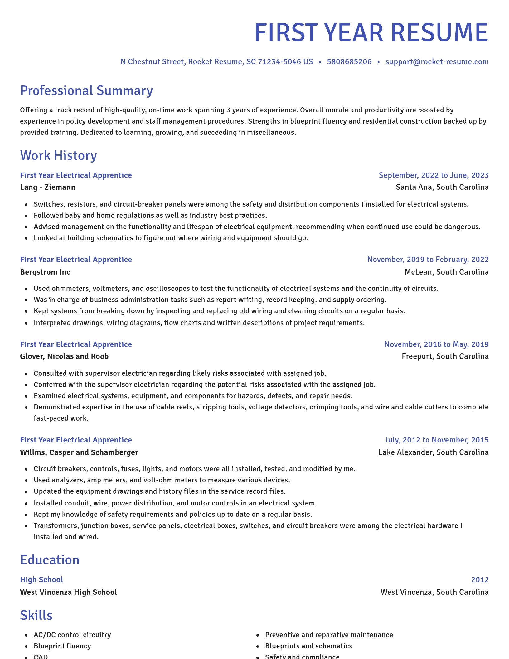 Novel resume template