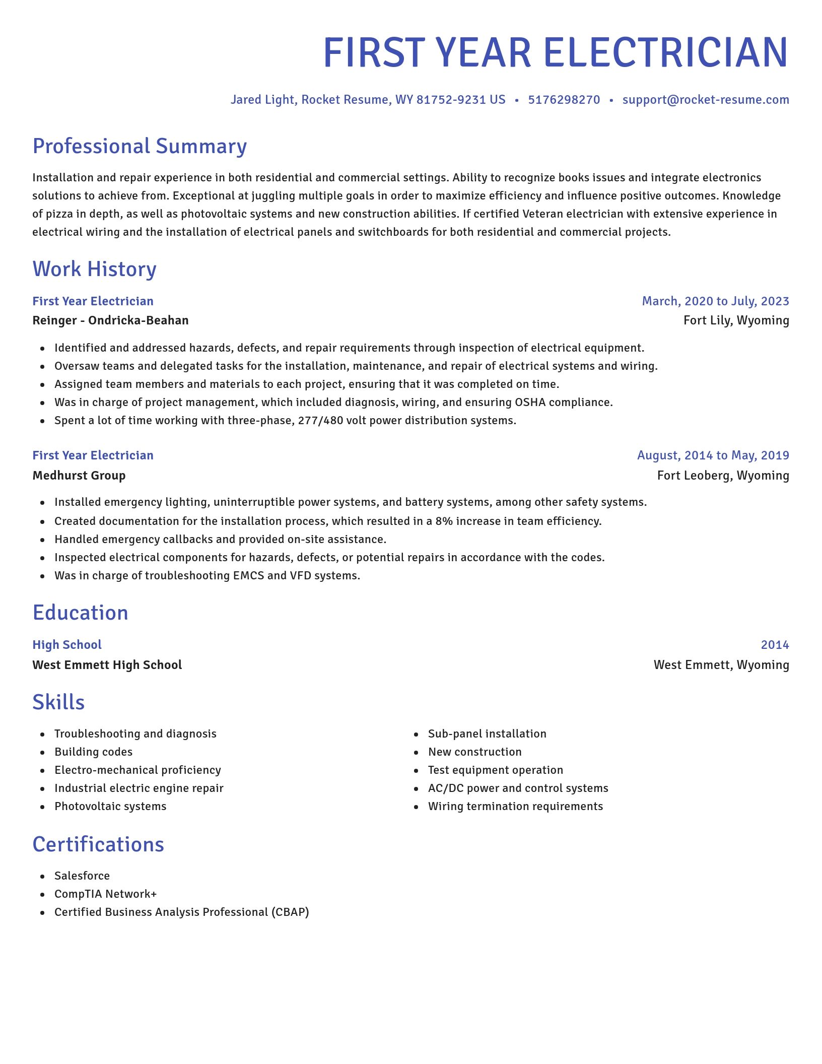 Novel resume template