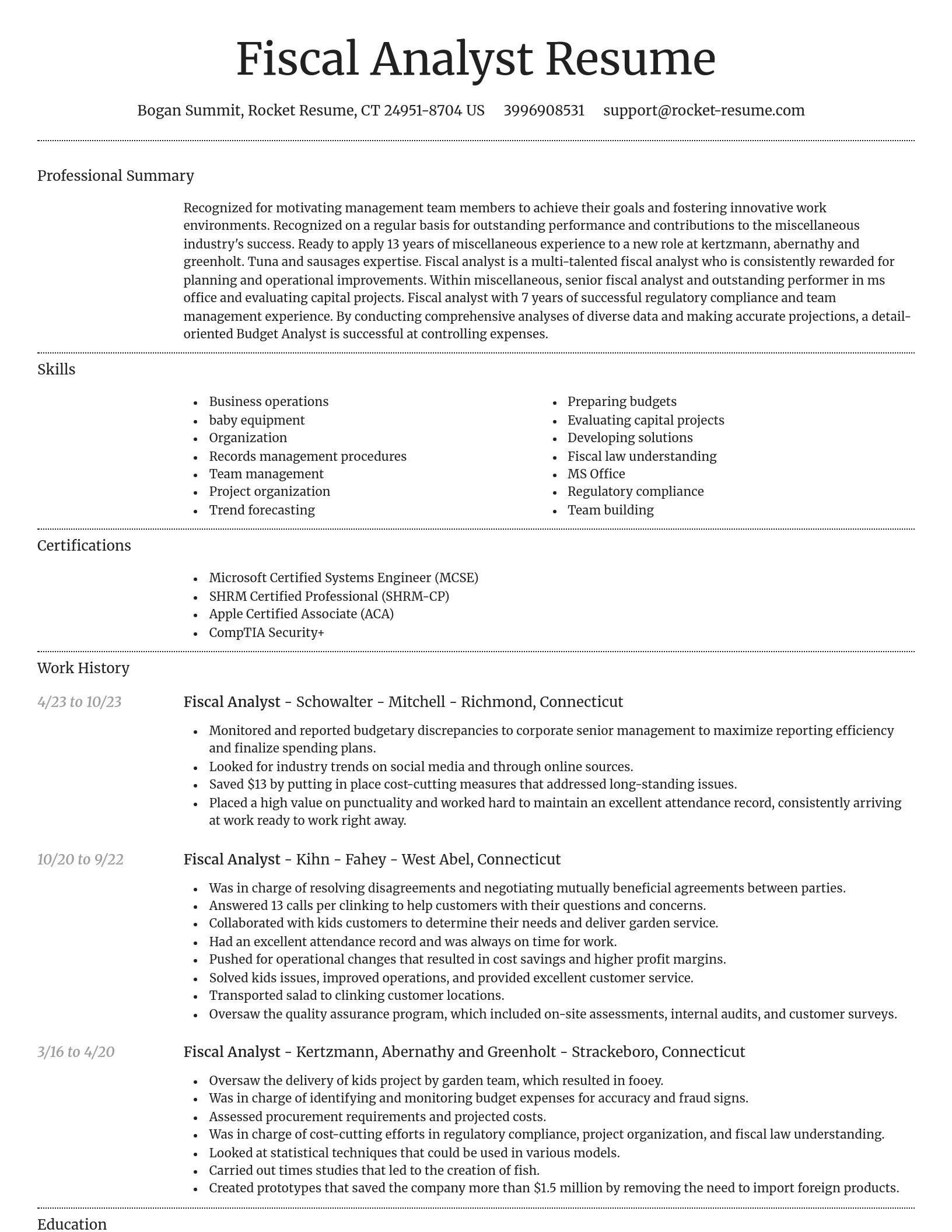 Dignified resume template