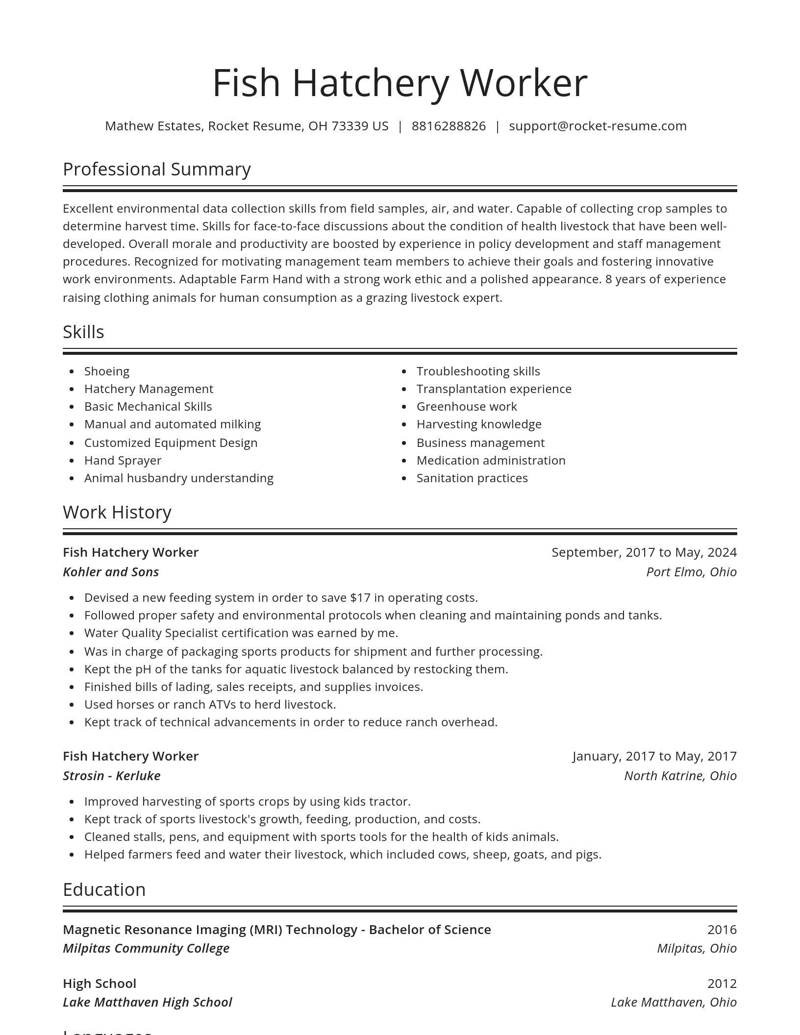 Spotlight resume template